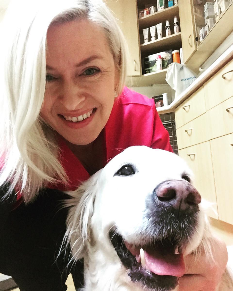 Veterinární ordinace Merlin, MVDr. Petra Miklišová foto 4