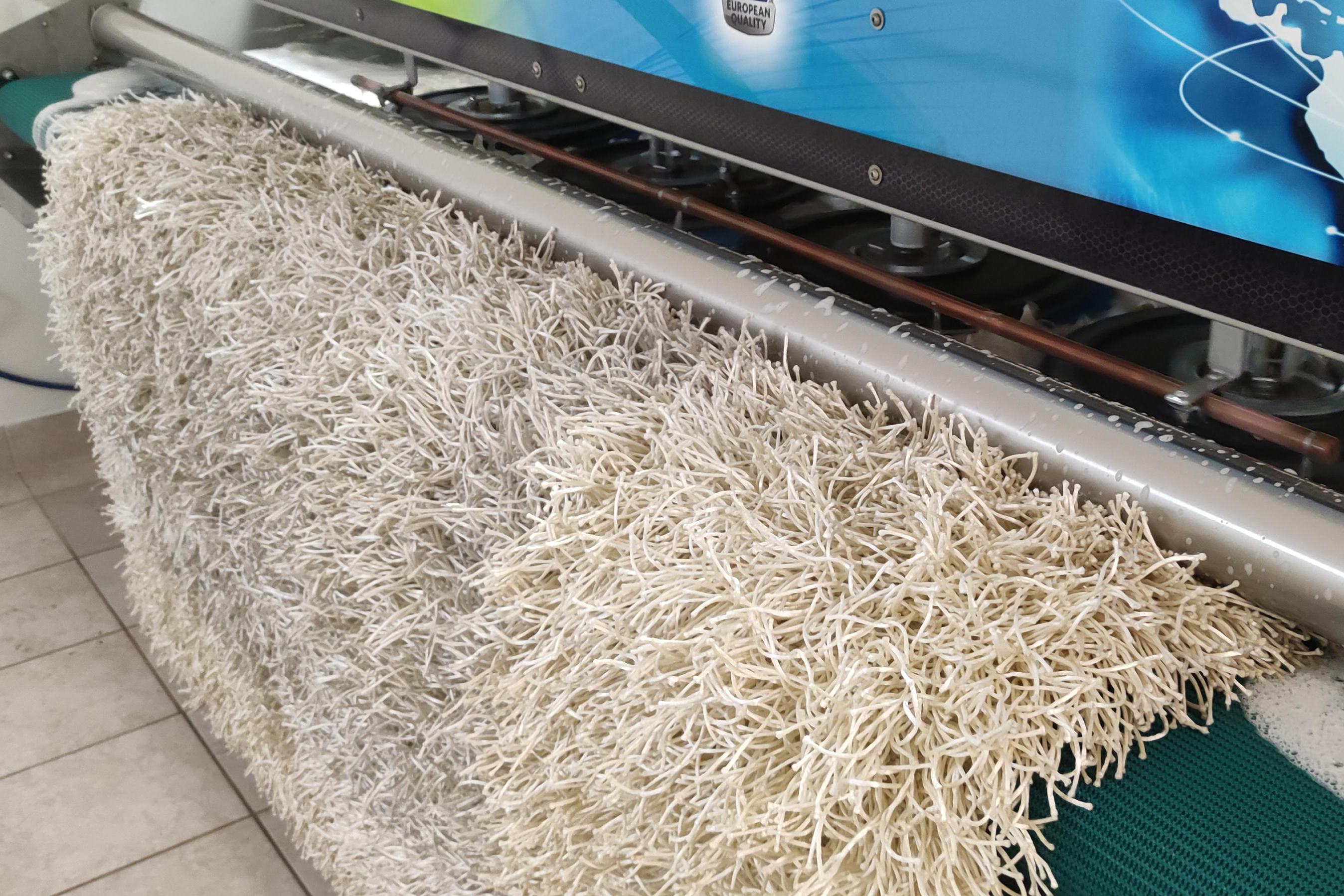 Pradelnakobercu.cz - profesionální čištění koberců, čalounění a matrací Dušková