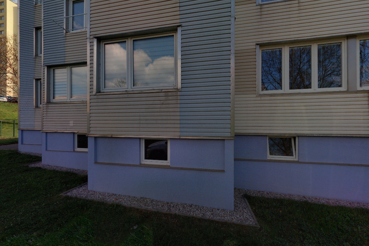 Kinesiotaping, Canisterapie - Alexandra Vojtová