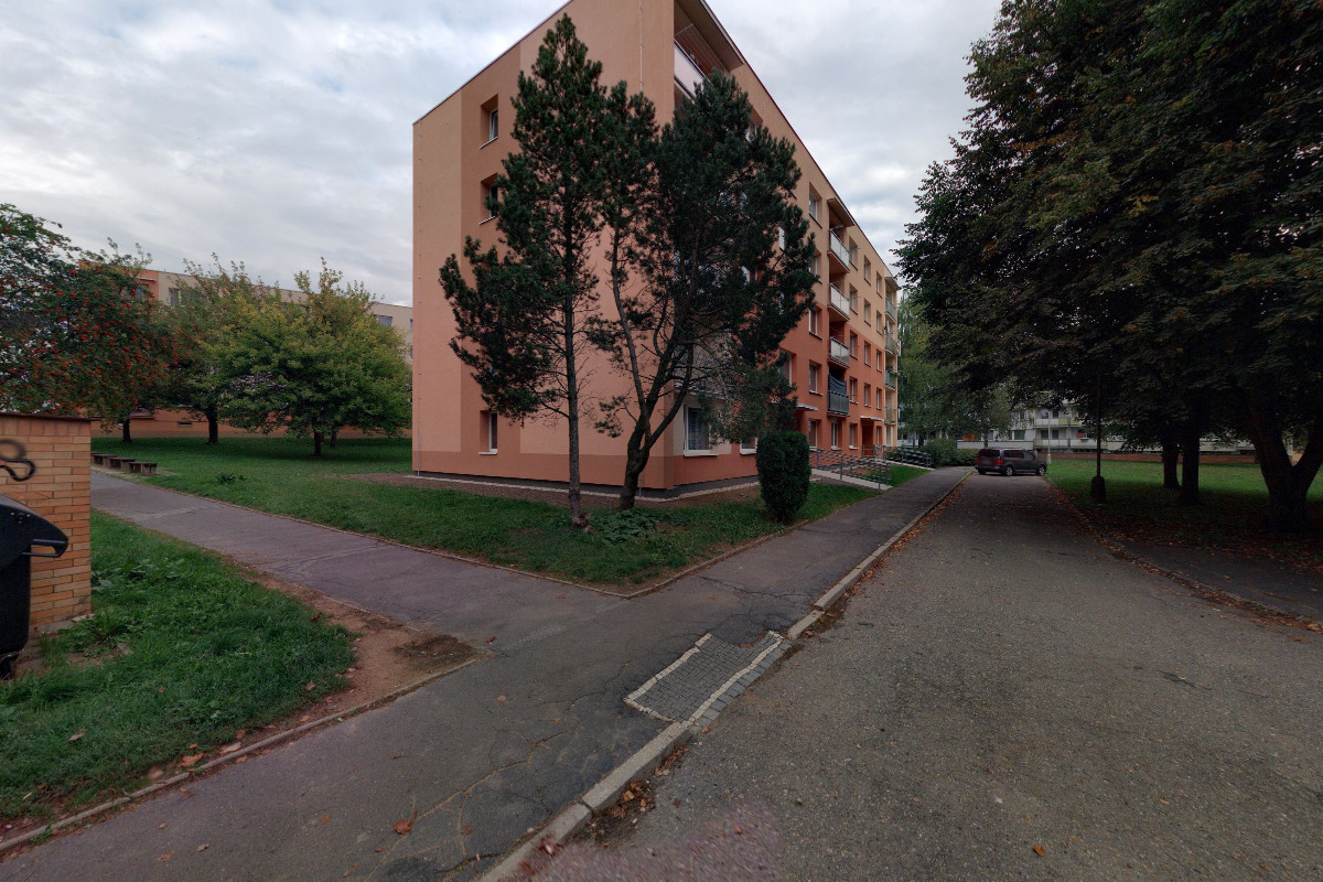 Václav Milichovský - Taxislužba