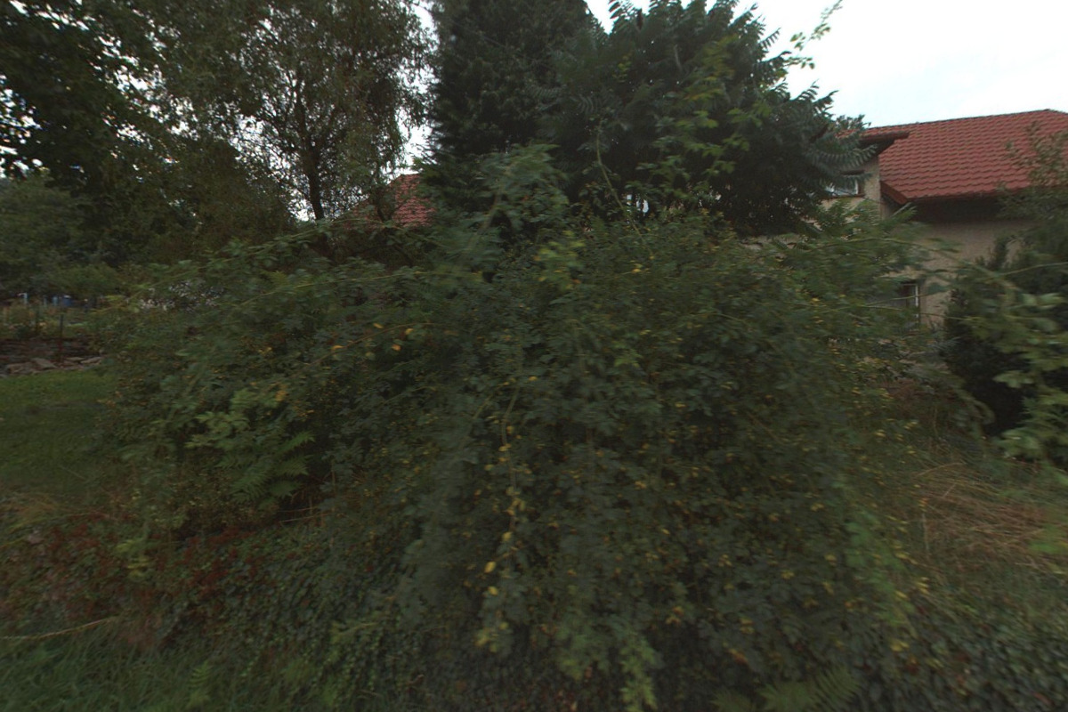 Daňový poradce ev. č. 3395 Iveta Vainerová