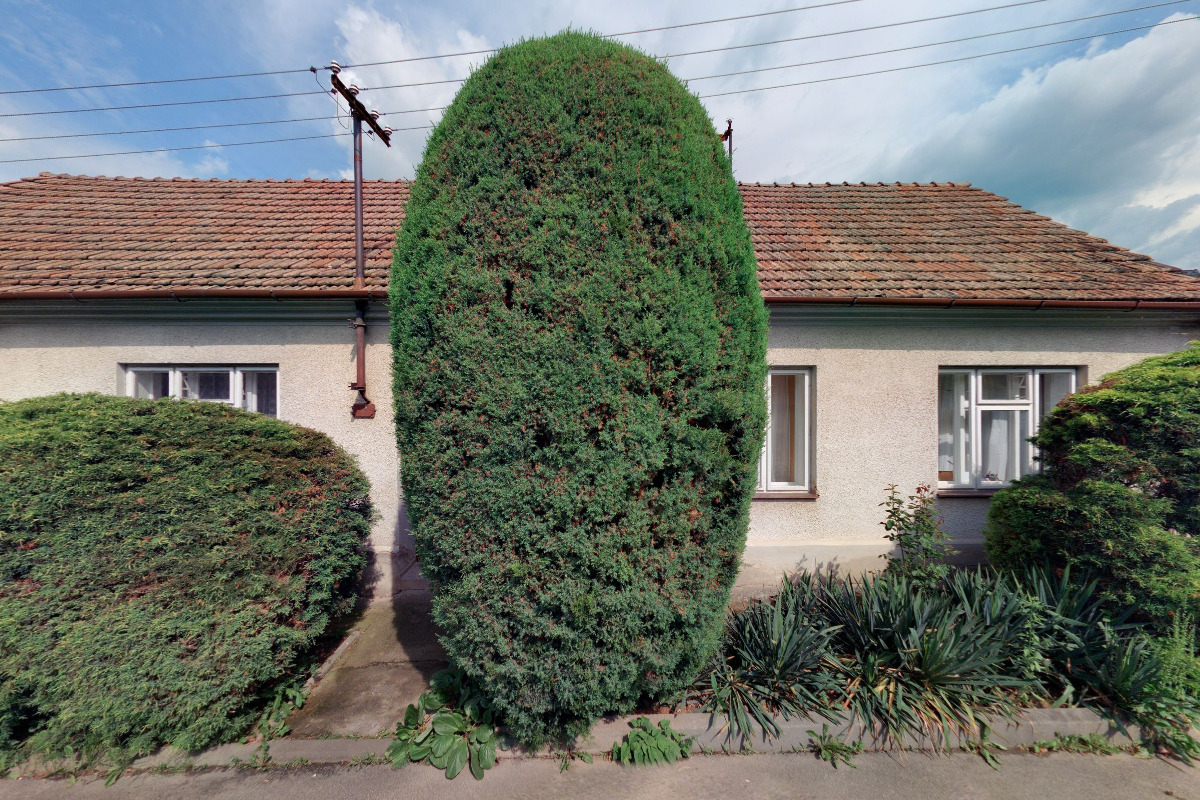 Slávek Janoušek a Kapela foto 2