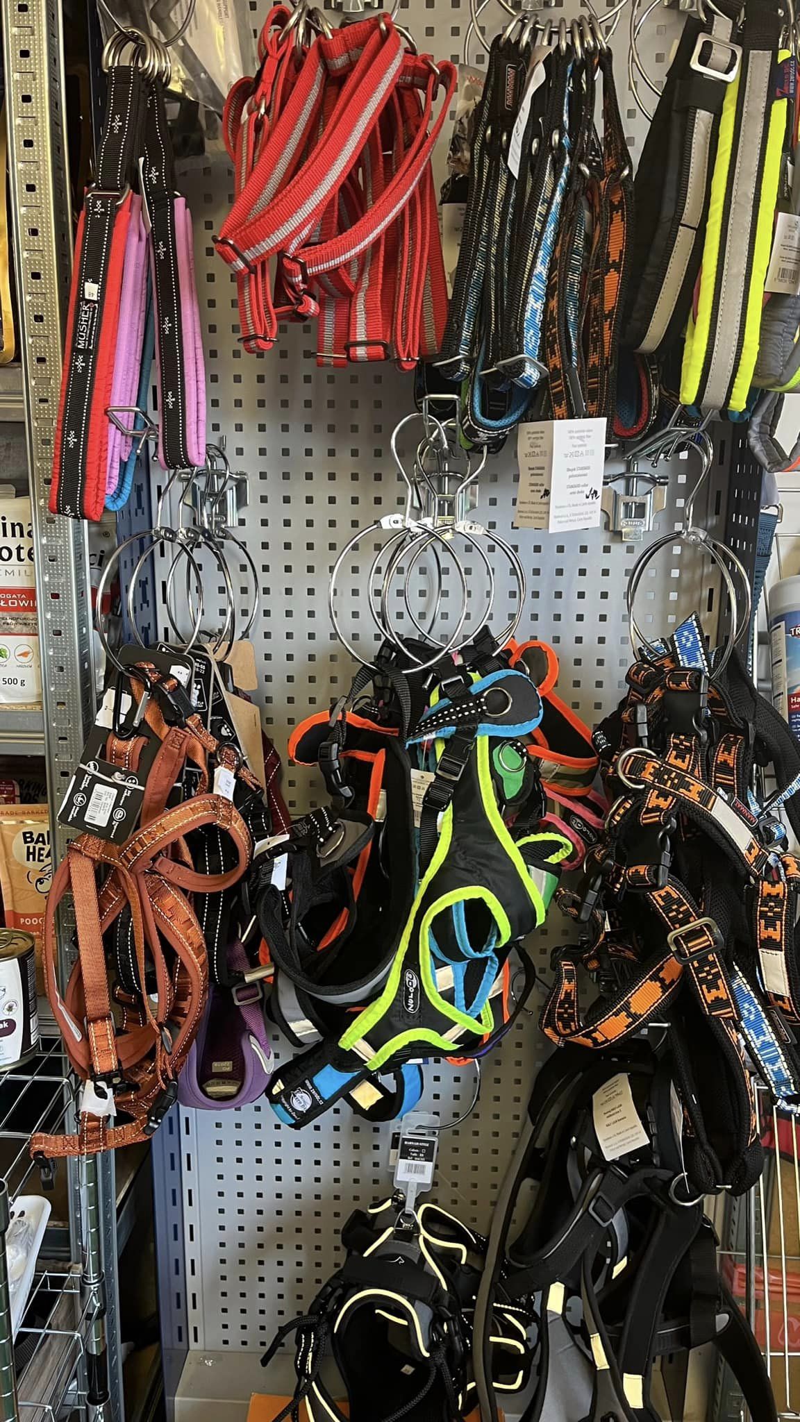 RunningDog foto 3