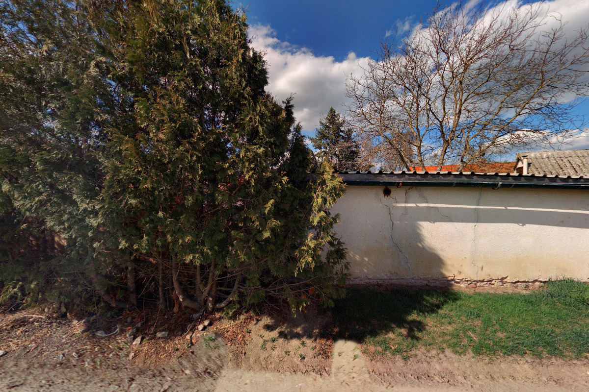 Česká osiva Chlumec, spol. s r.o.