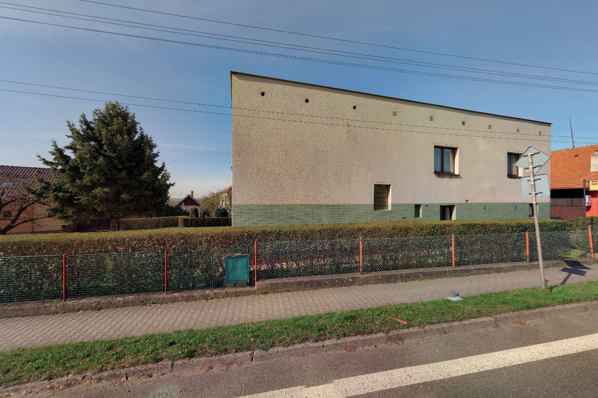 Stříhání a úprava psů - Marie Pourová