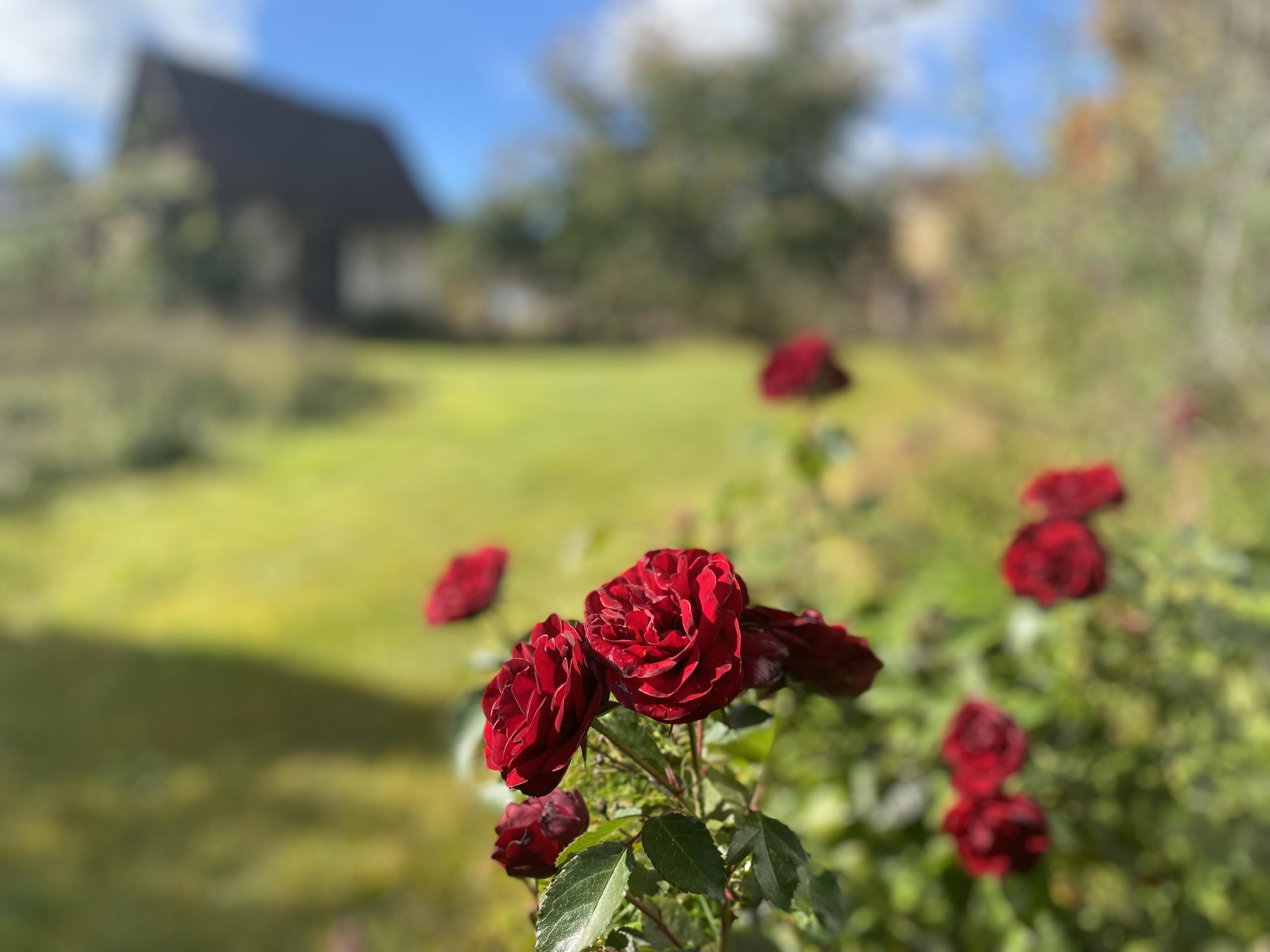 Chalupa u Bylinkářky foto 2