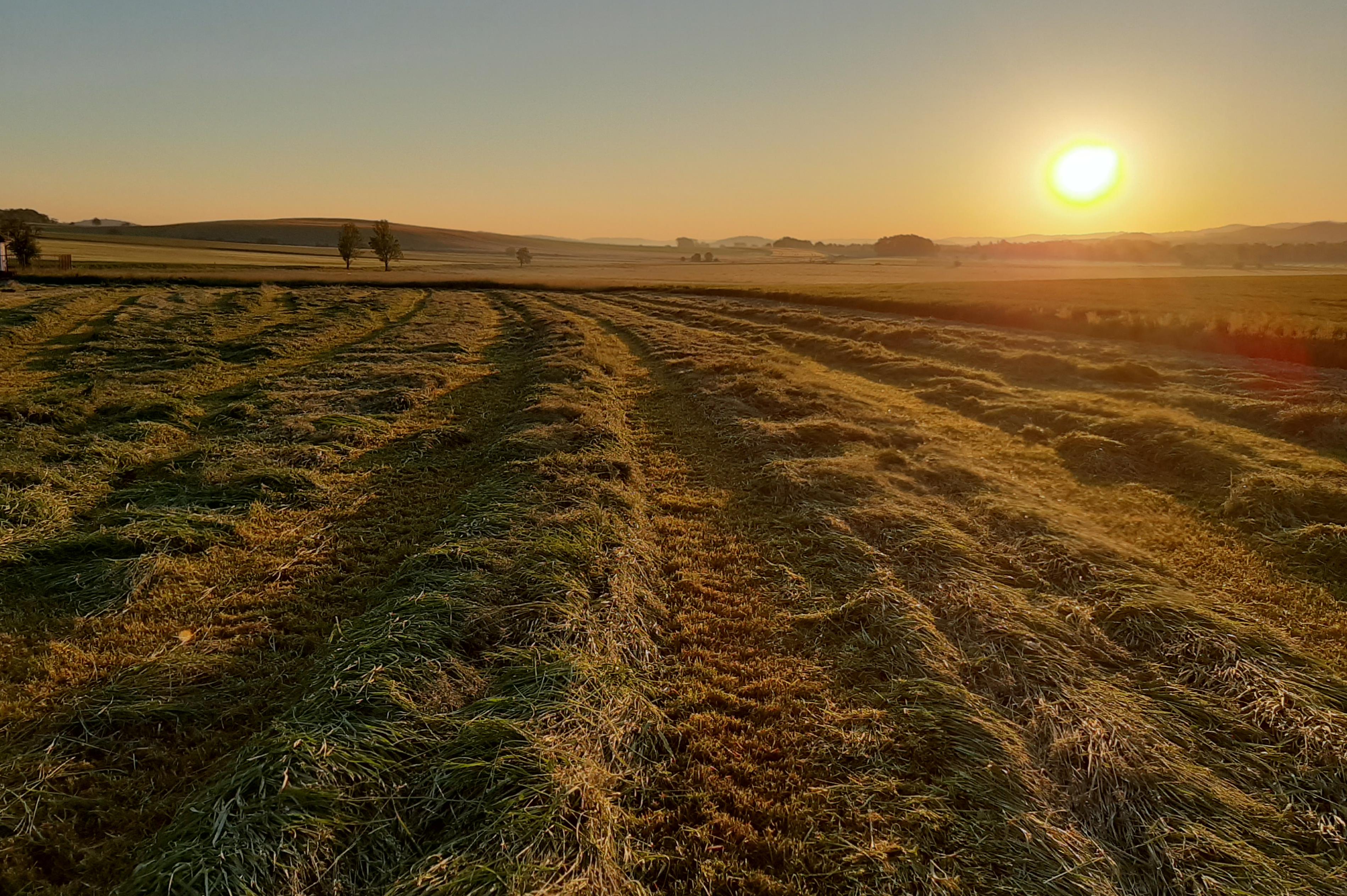 Tomáš Roubíček - zemědělské služby