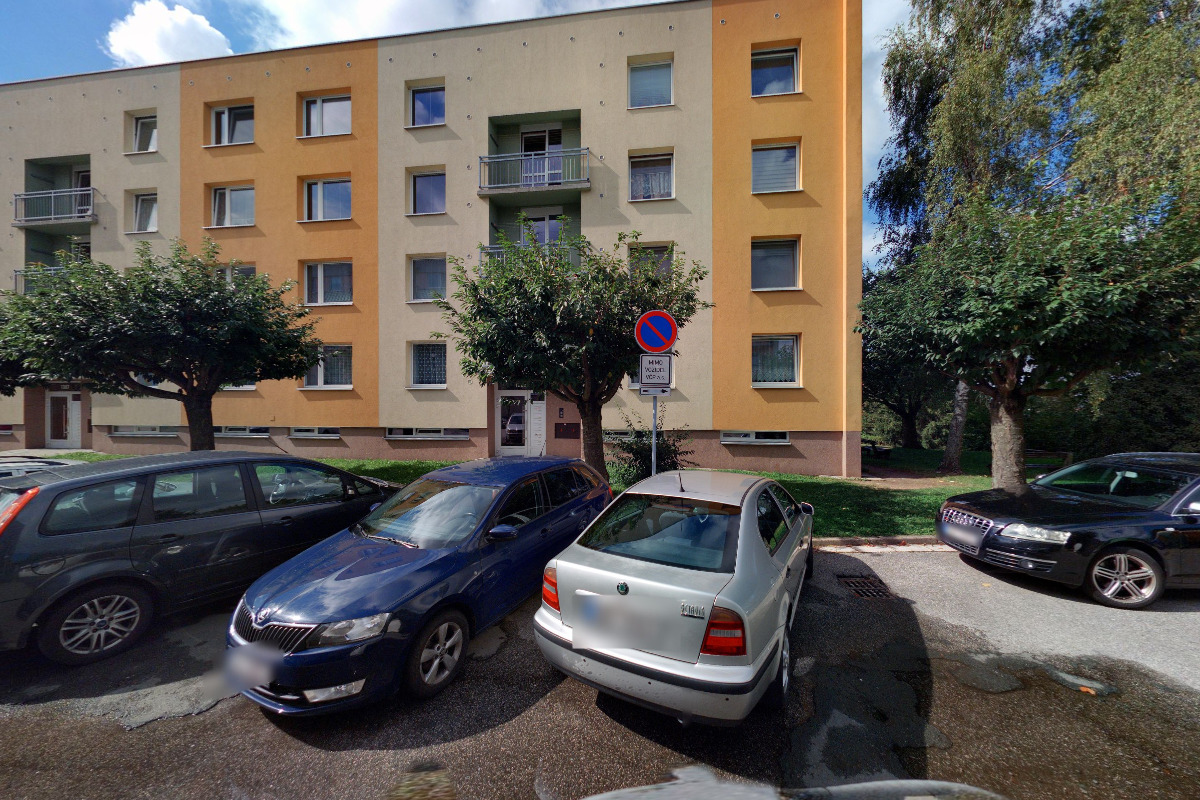 EVO Professional foto 2