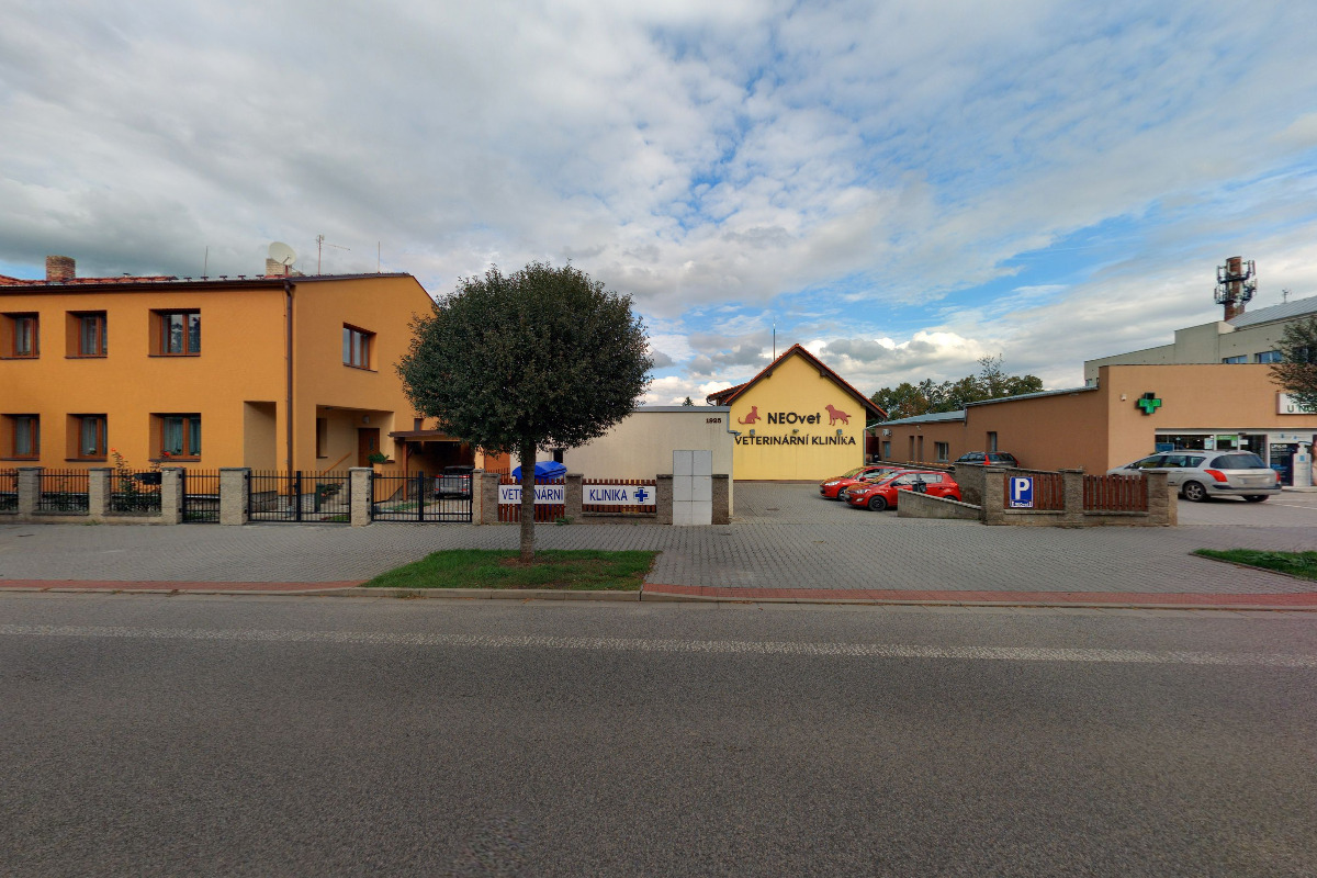 NEOvet foto 4