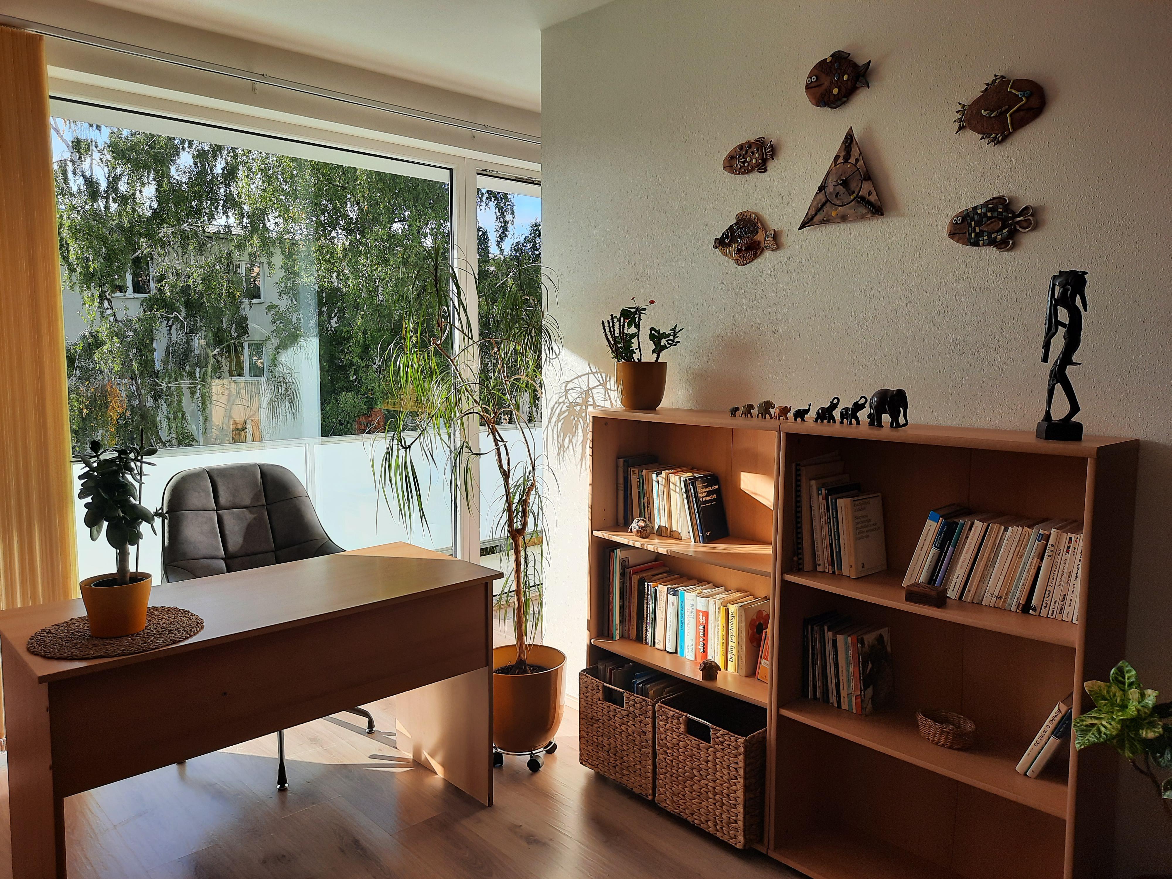 Soukromá psychologická poradna AURA - PhDr. Eva Vávrová