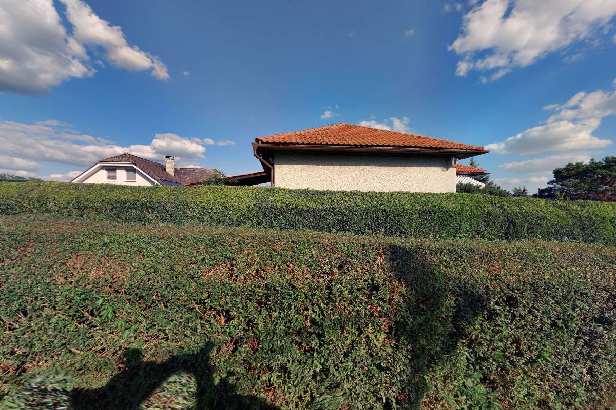 Jana Palejová foto 1