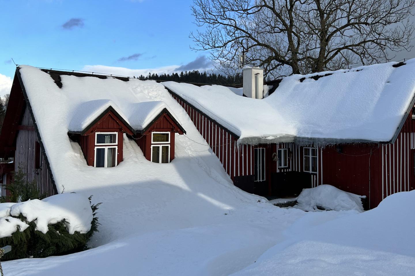 Ubytování Severák