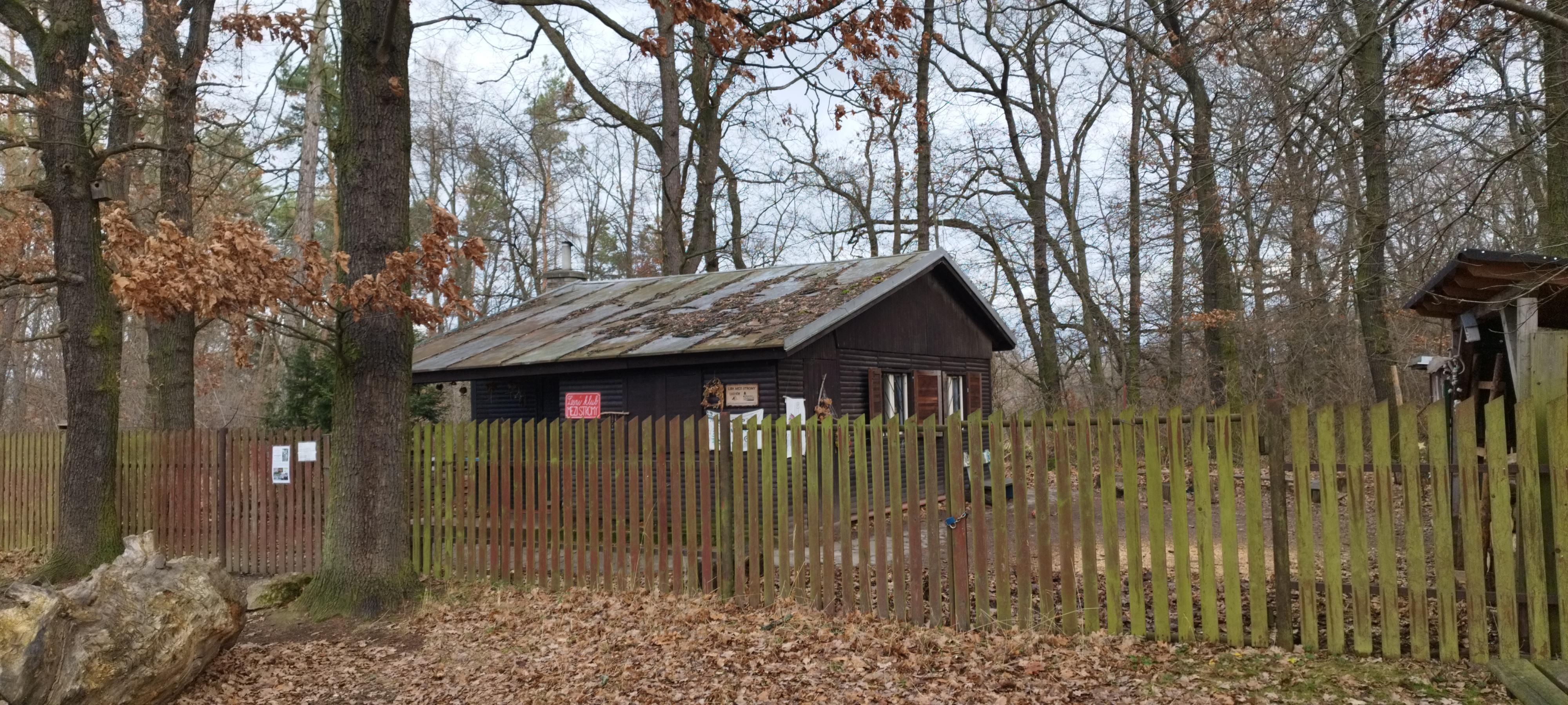 spolek zapsaný MEZI STROMY foto 5