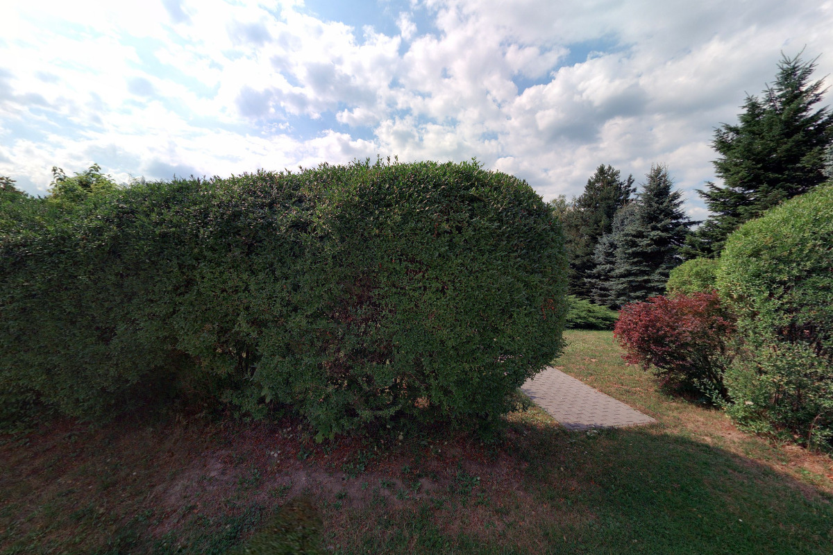 Apartmány Černá Voda