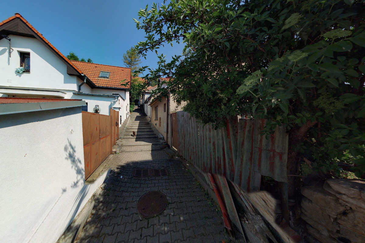 Lenka Krpcová, stomatologická laboratoř foto 1