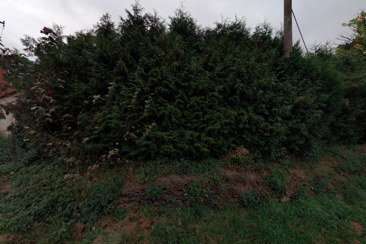 Jezdecká stáj Prela - Nové Svržno