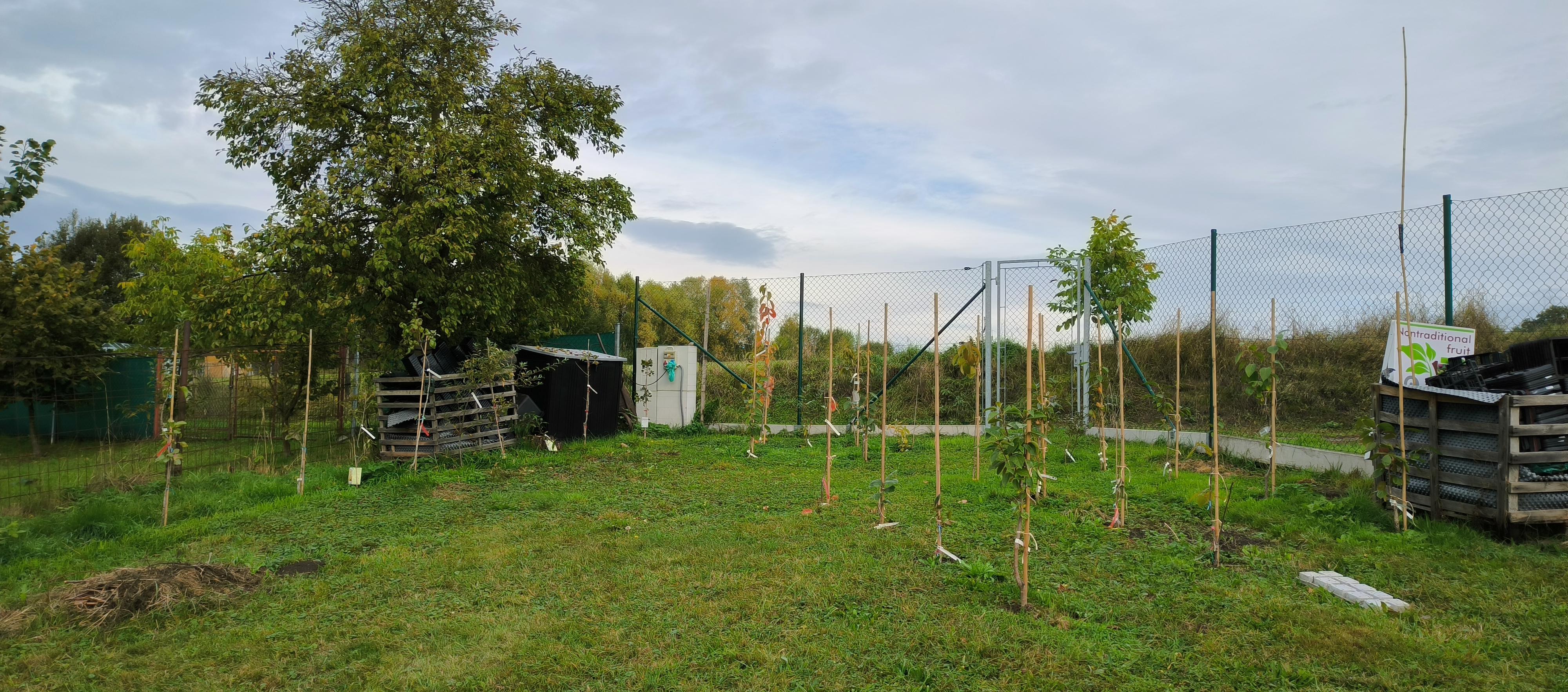 Netradiční Ovoce - Ing. Martin Stanko foto 6