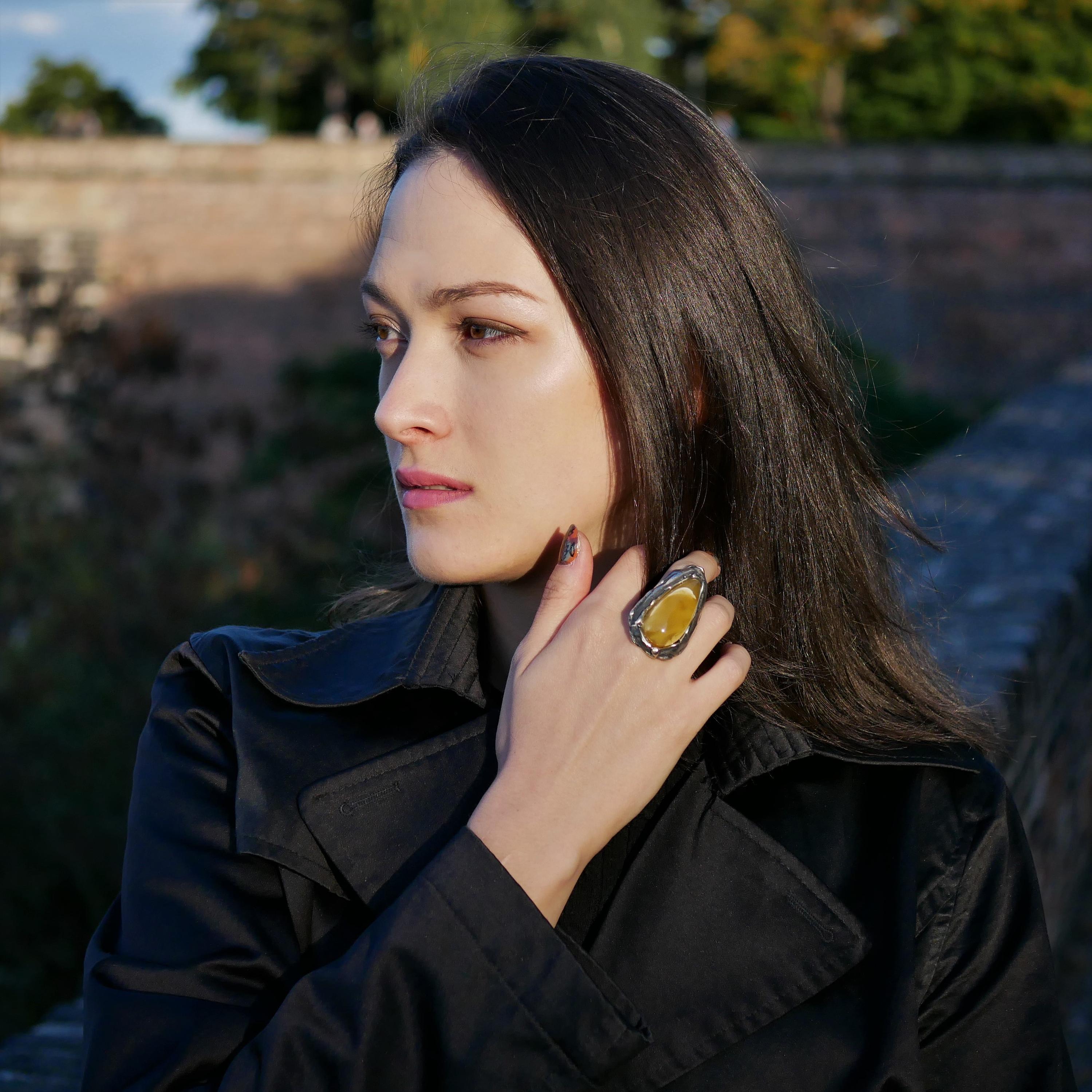 phoenixamber.cz foto 3