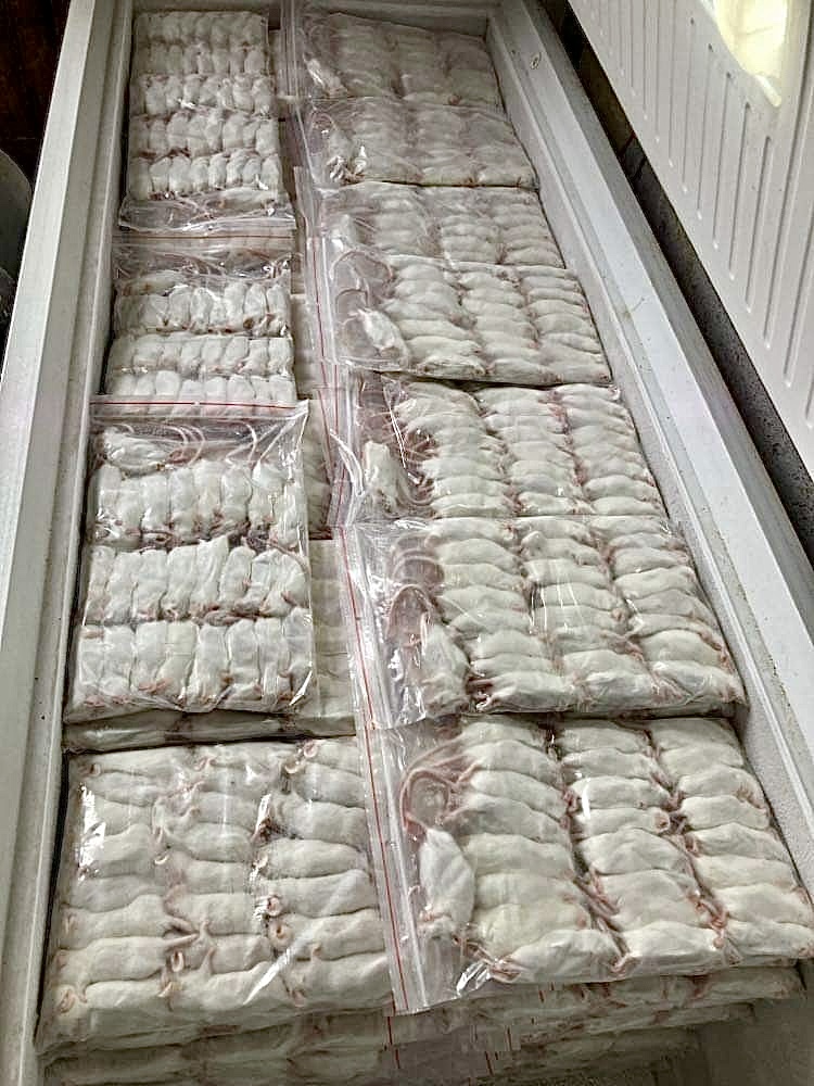 Mouse center sro foto 4