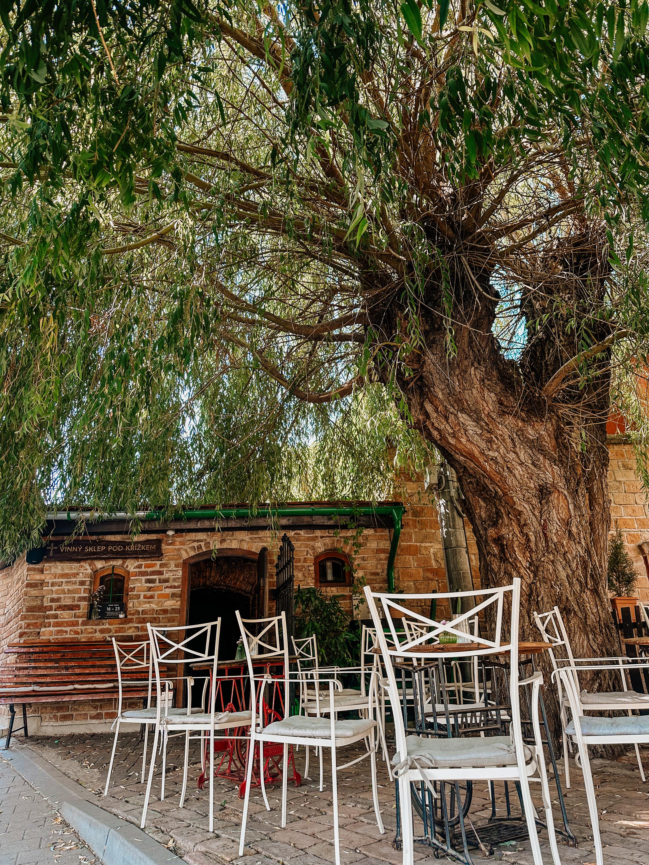 Vinný sklep Pod Křížkem - vinařství Knoll foto 4