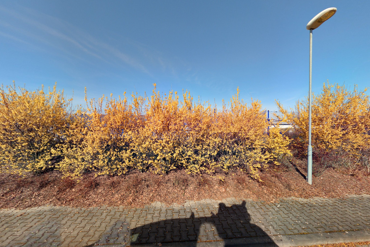 C.S.CARGO Services, a.s.