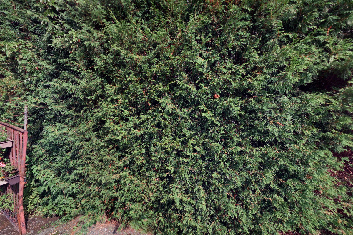 Vila Bělá pod Pradědem 160