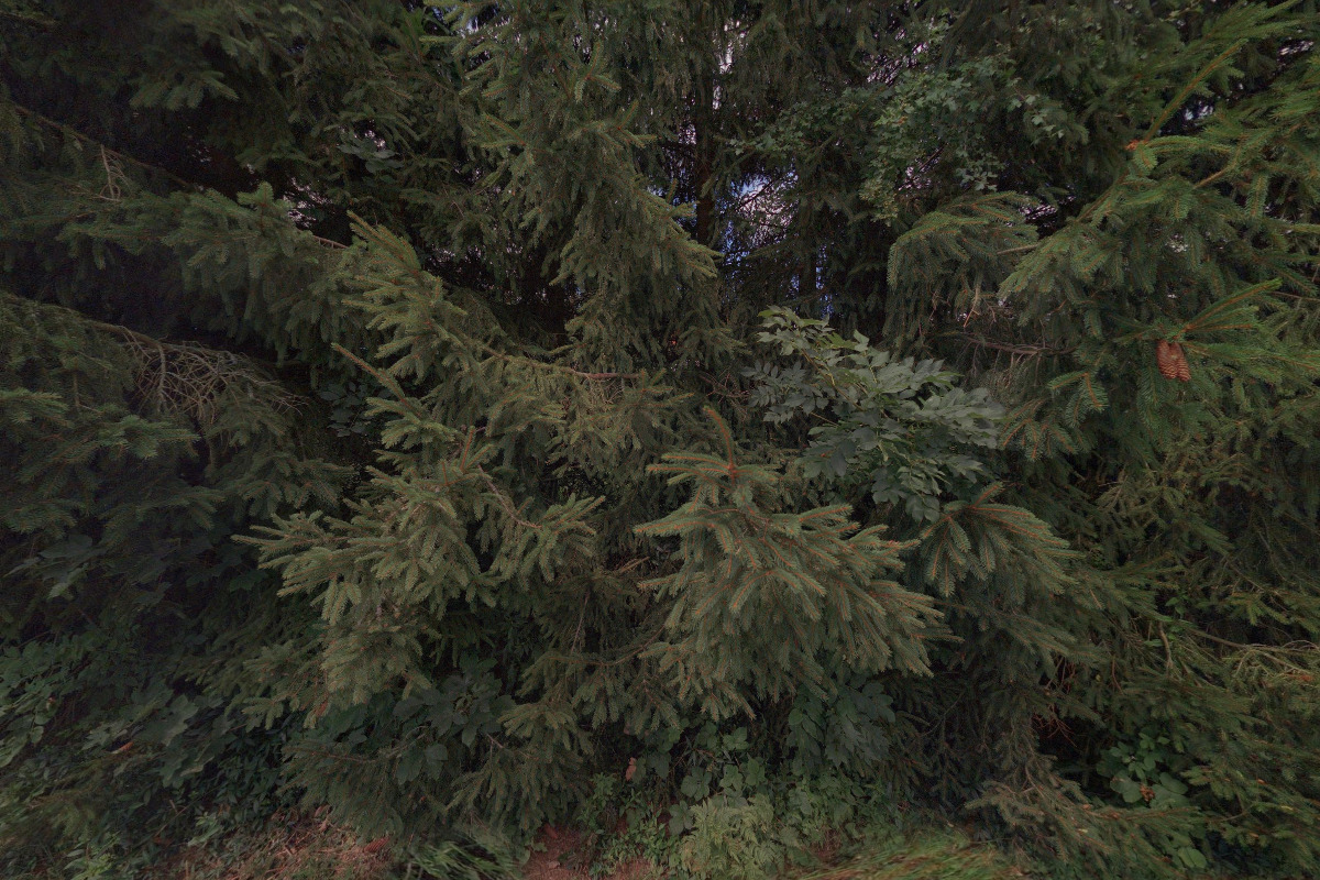 K.V.AUTO - SPRINT, s.r.o.