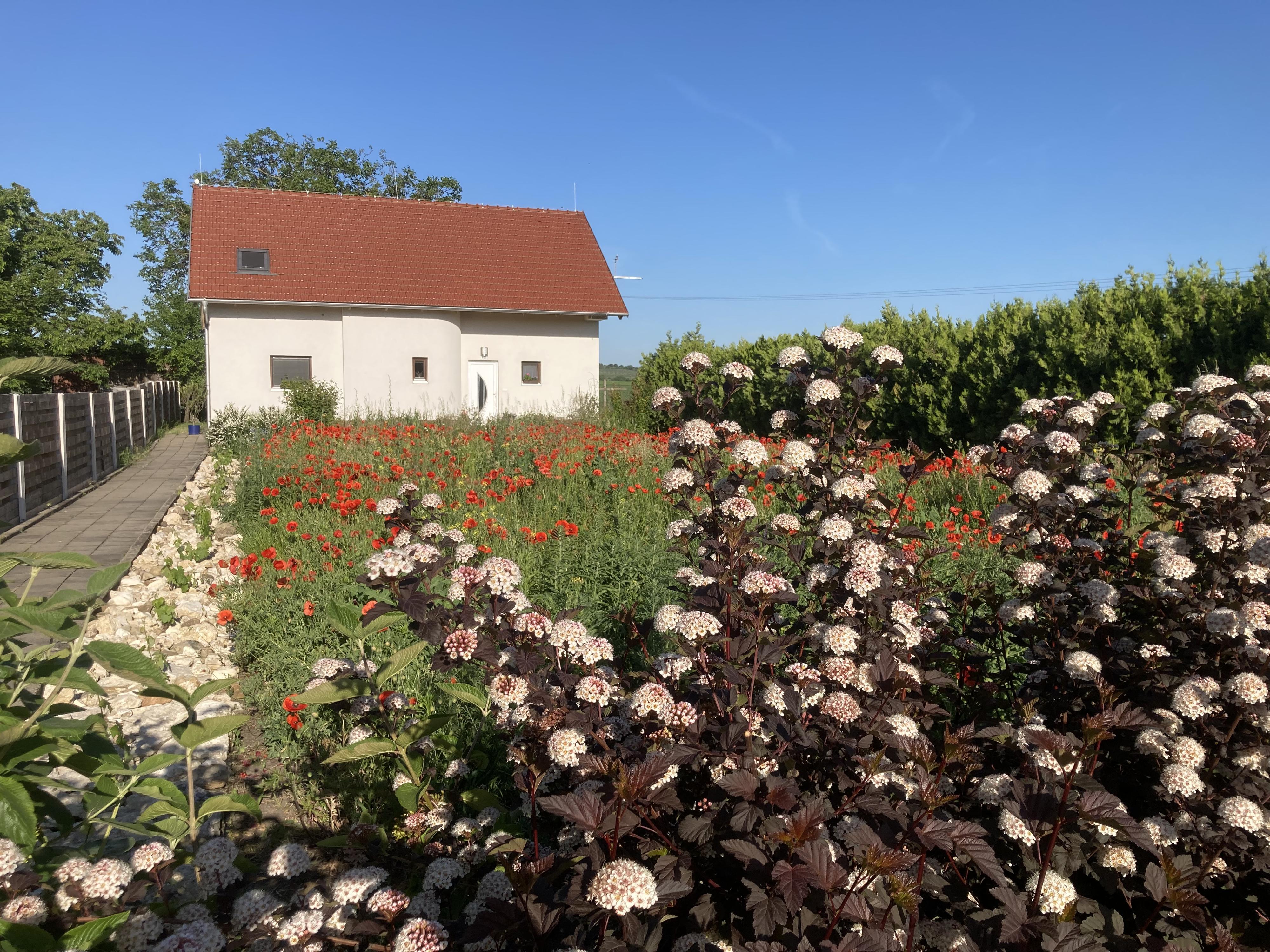 Ubytování na Boční foto 2