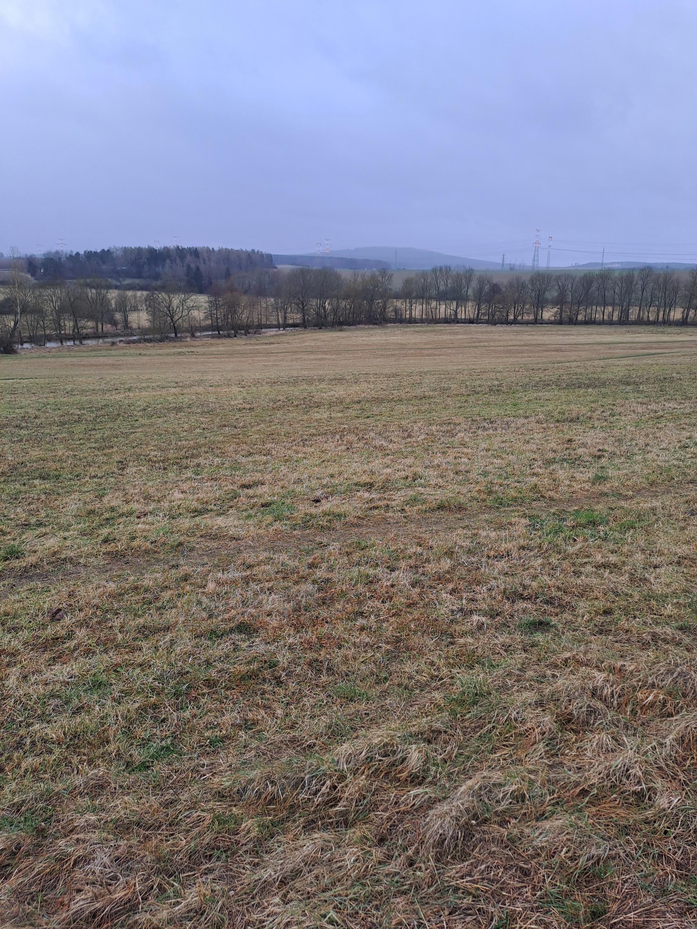 Lesní mateřská škola Sasanka foto 2