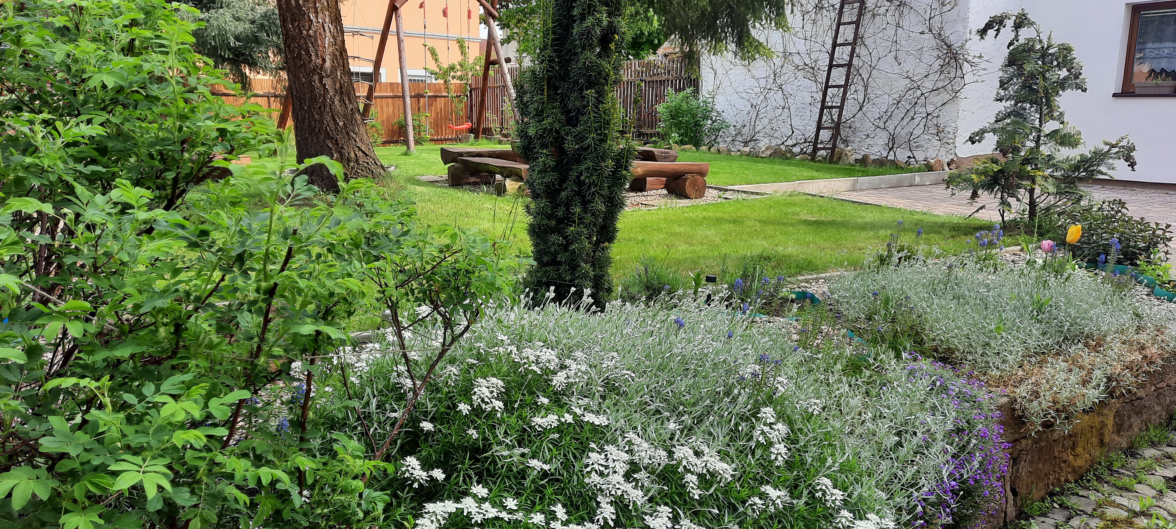 Vejminek pod smrkem foto 3