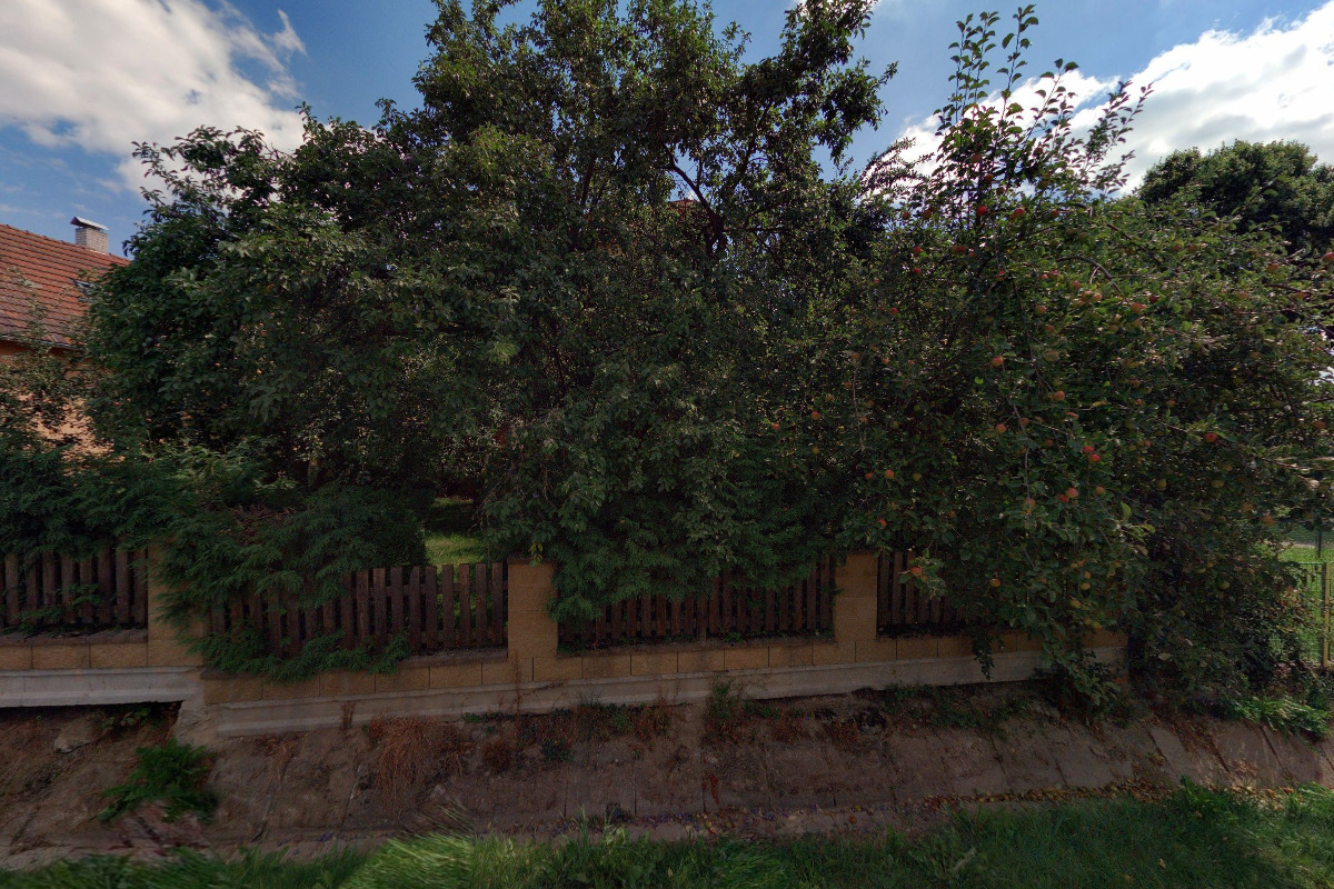 Místní knihovna Dolní Hořice