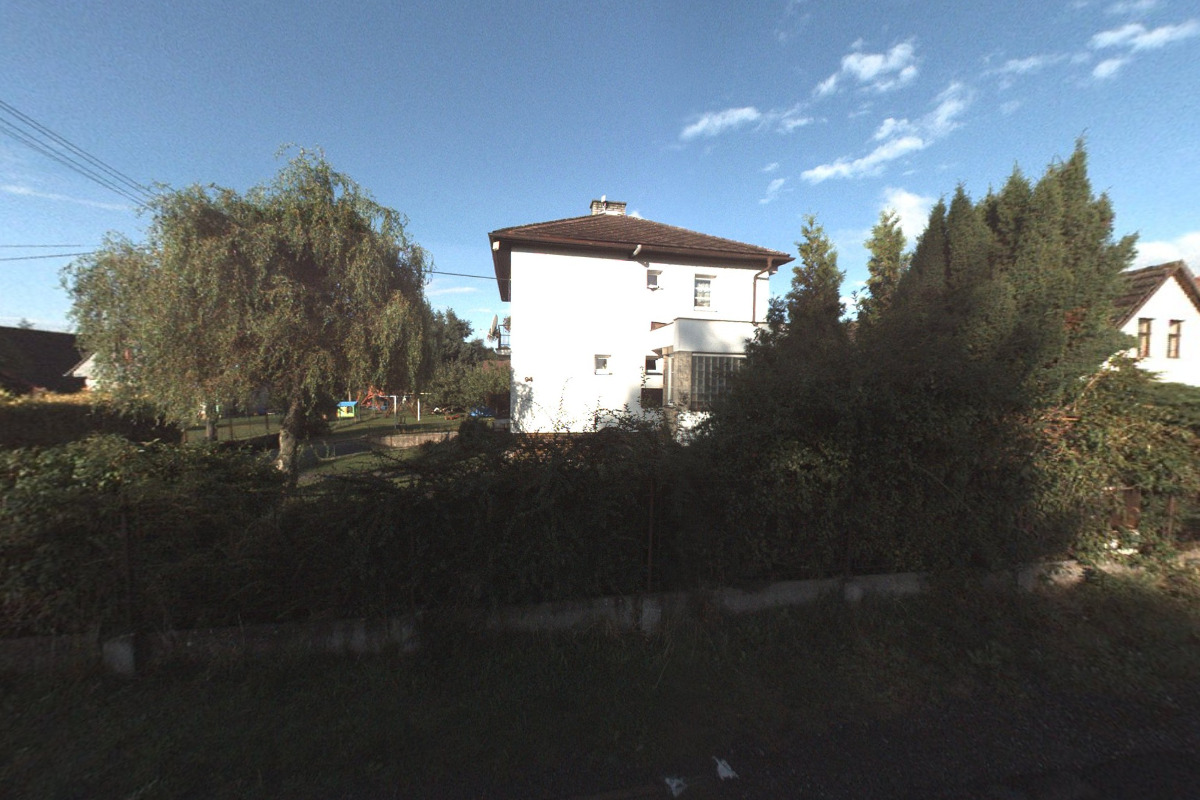 Královédvorská Arnika