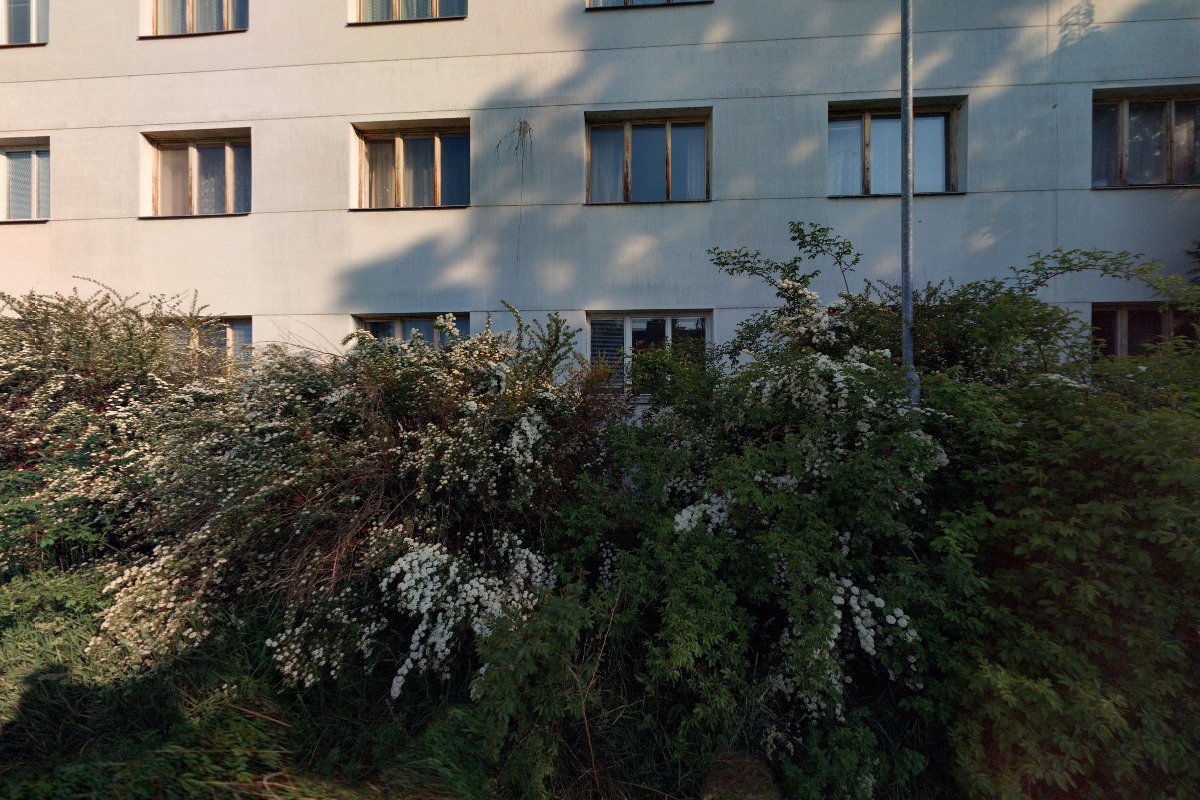 REOZZ - Jan Reitinger foto 2