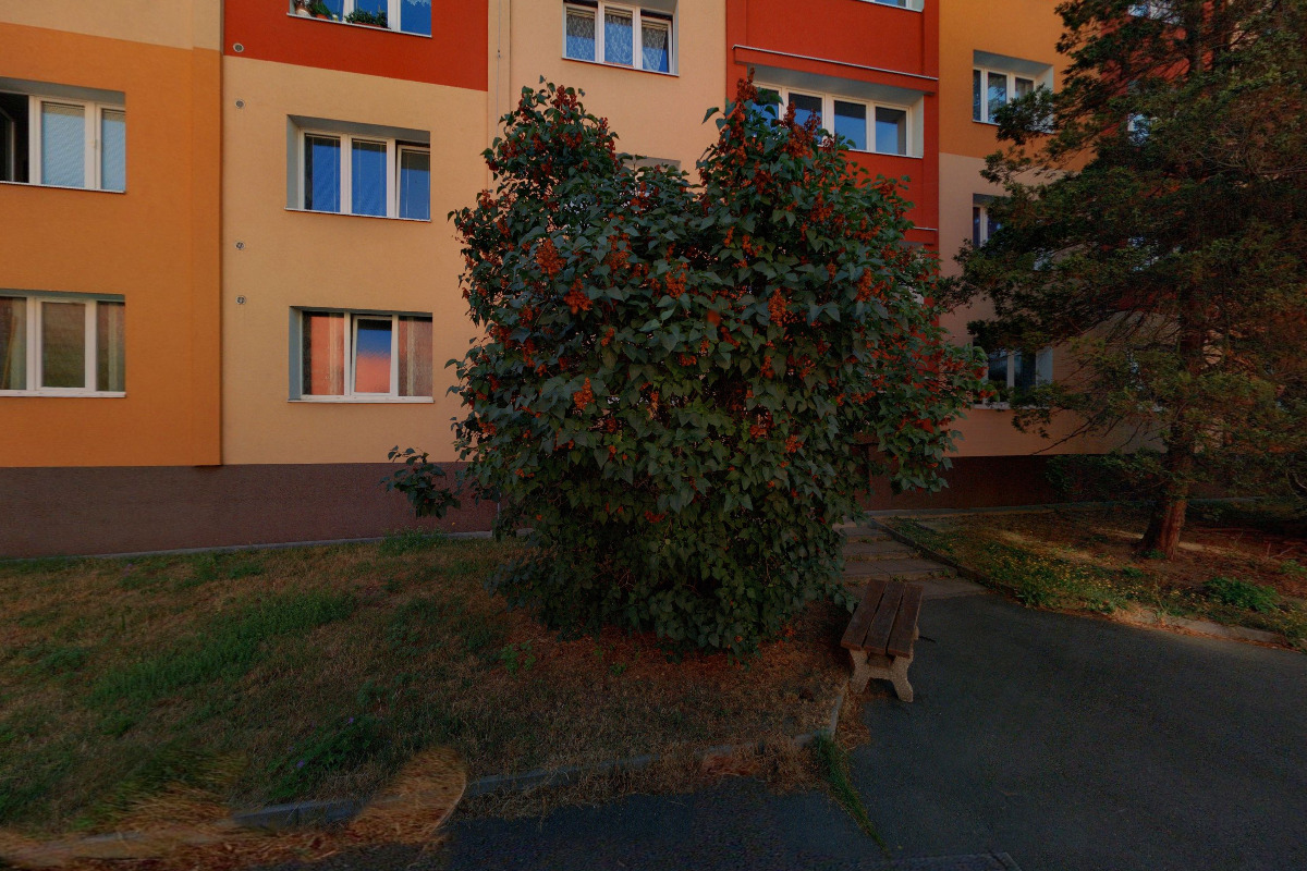 Milan Mištera foto 2