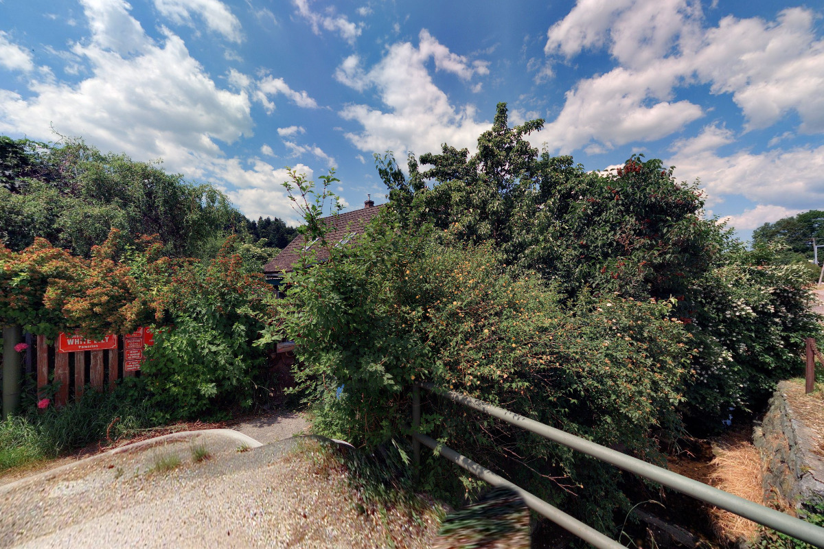 Hana Varníčková - malba olejovými barvami foto 1