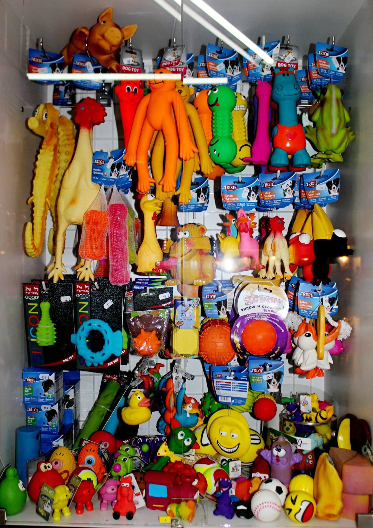 ZOO Škorpion foto 5