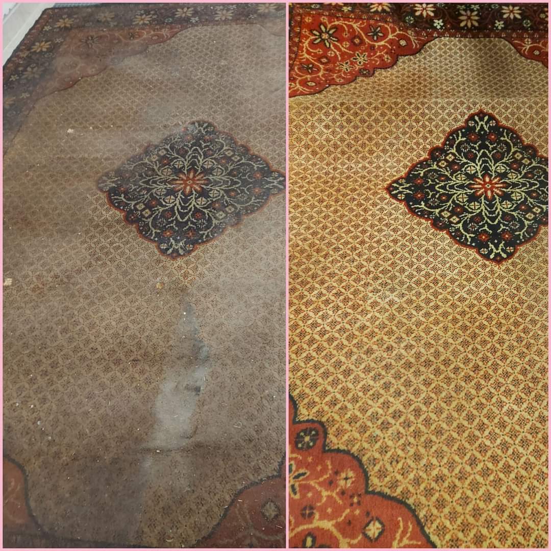 Pradelnakobercu.cz - profesionální čištění koberců Dušková foto 3