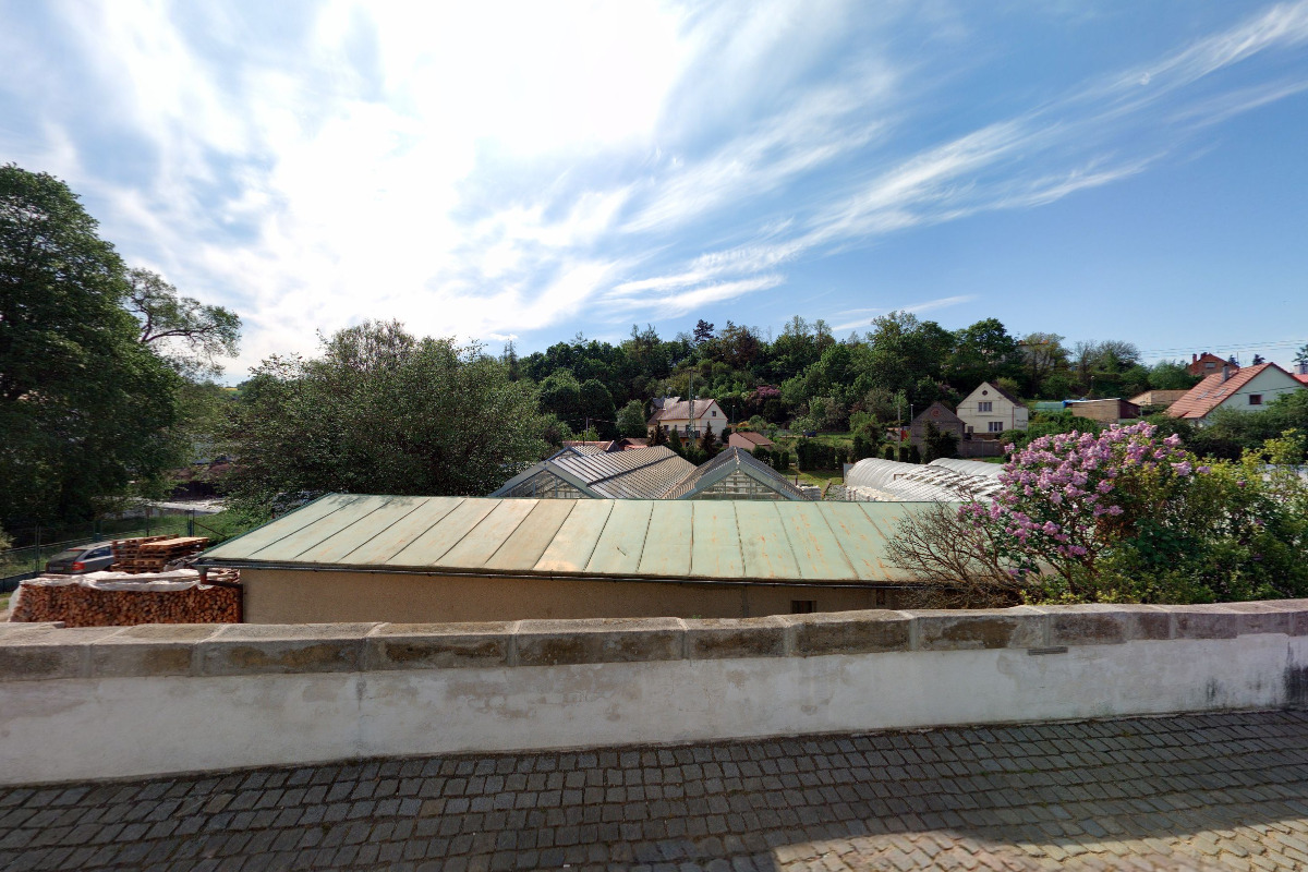 Flora - Miroslav Kříž