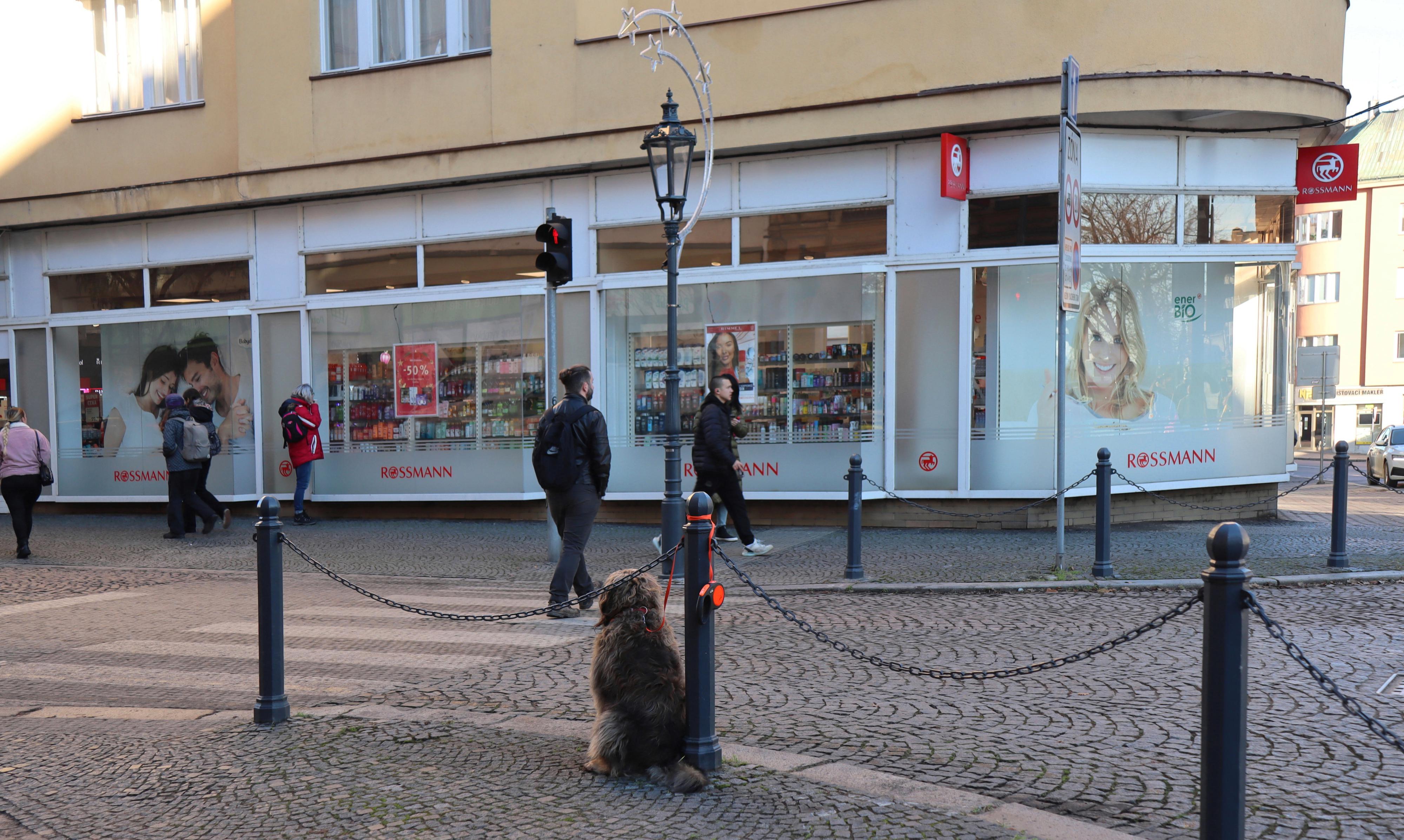 ROSSMANN foto 2