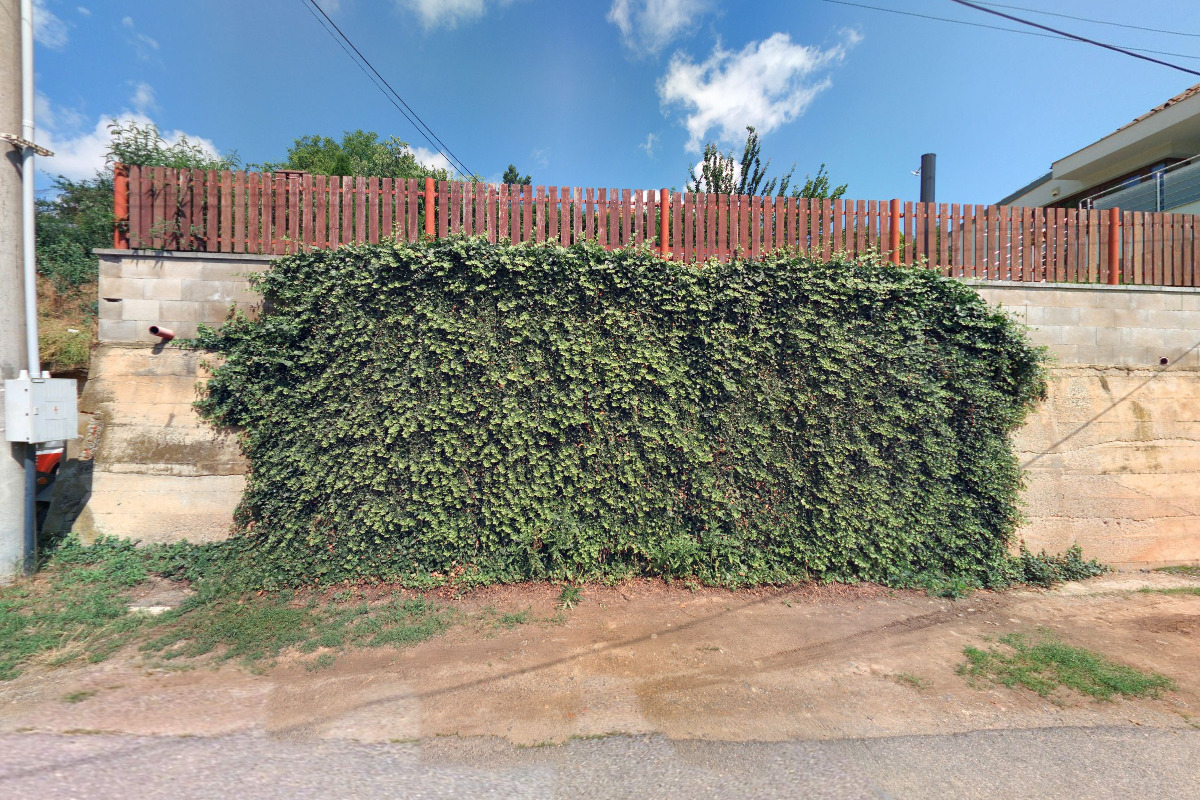 Psí Hotel a salon Mája