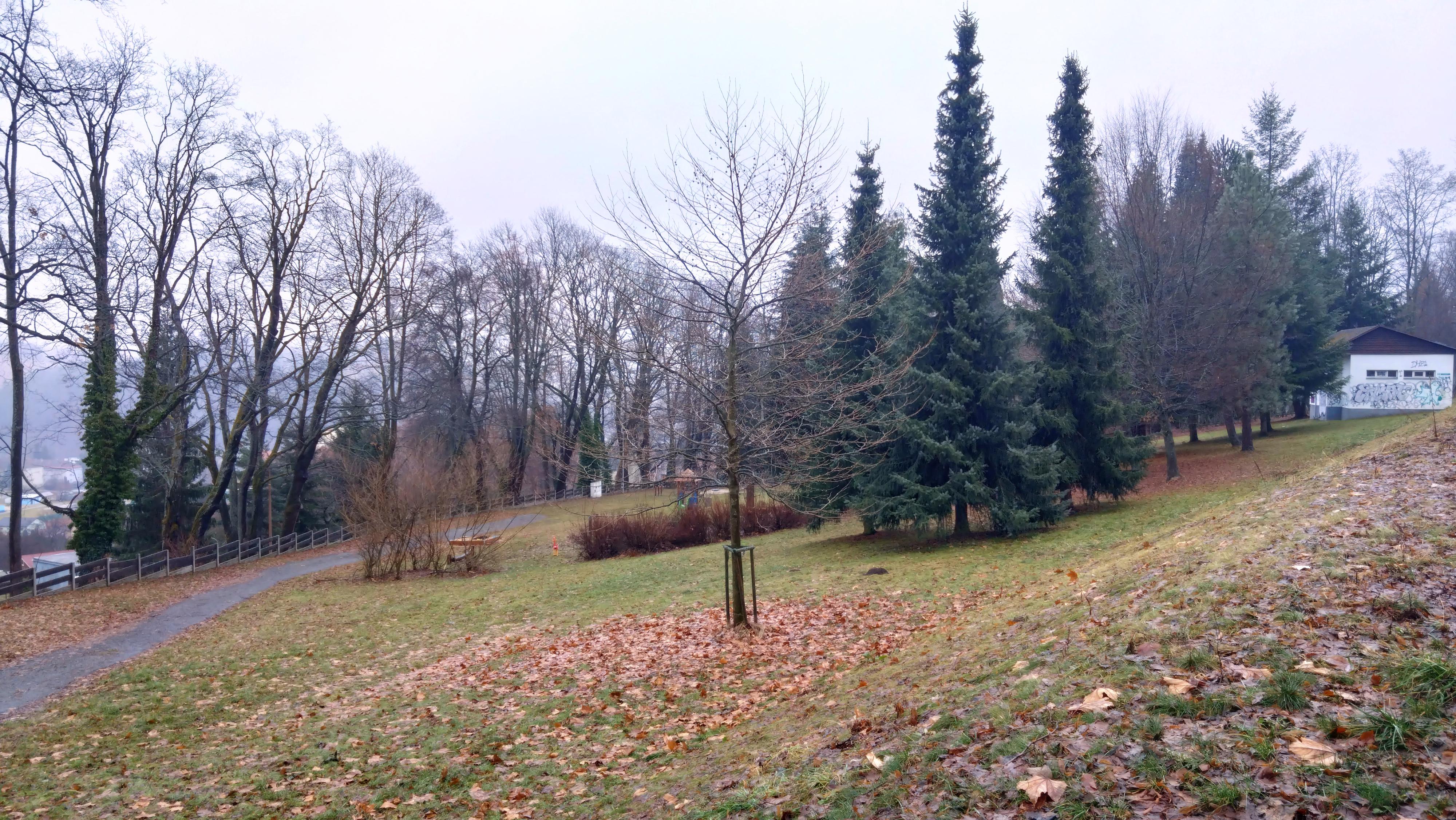 Letní scéna foto 3