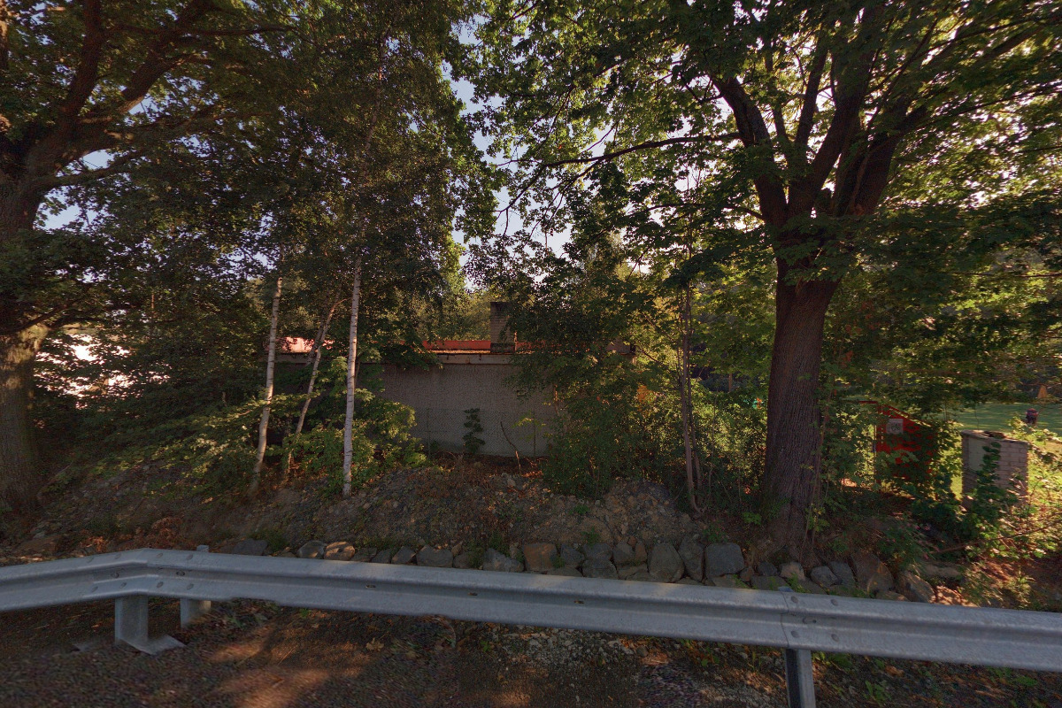 Psí škola Dopey foto 5