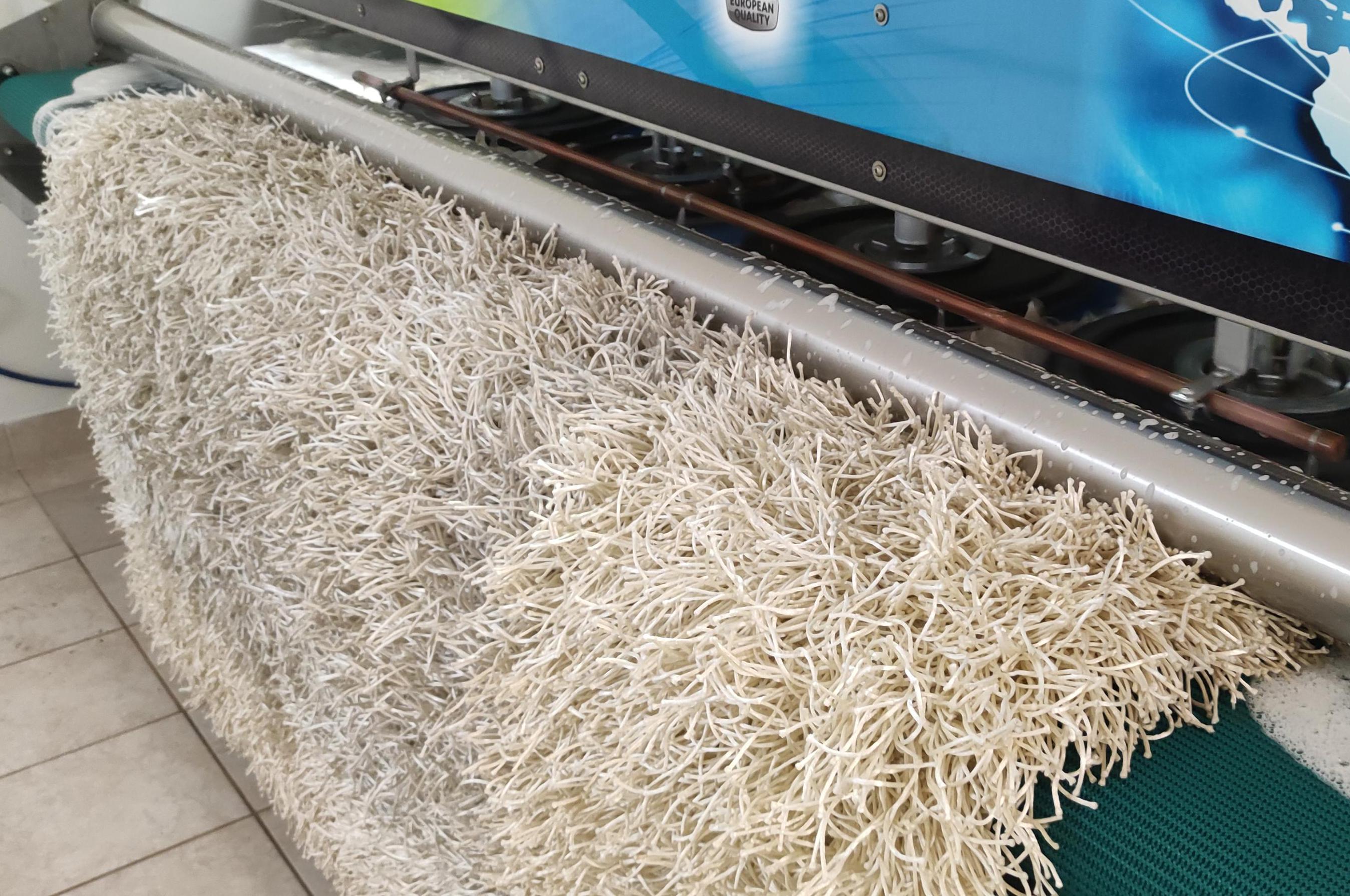 pradelnakobercu.cz - profesionální čištění koberců Dušková