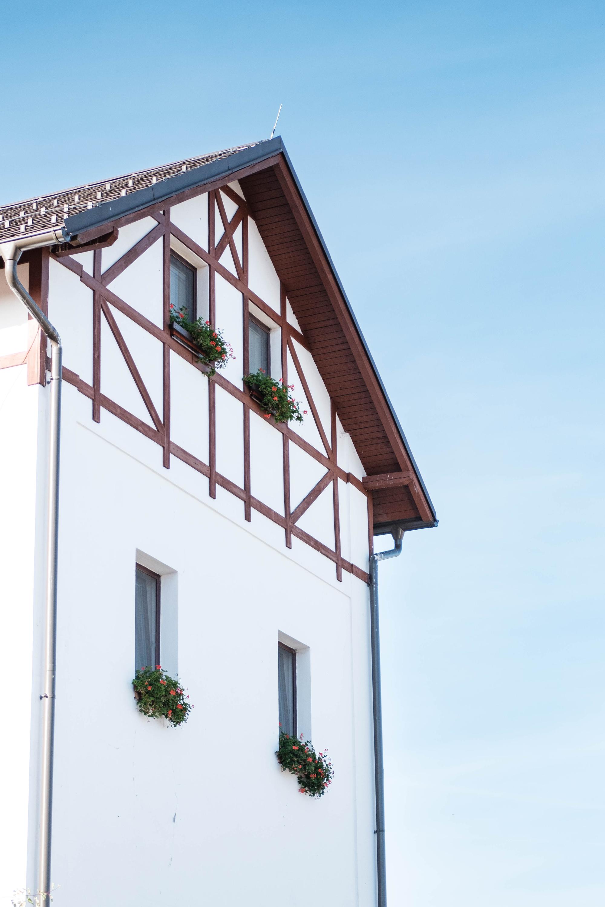 Hostinec U Pejska a kočičky foto 3