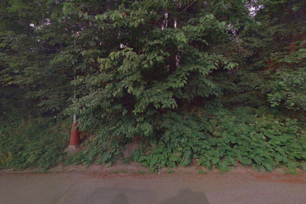 Ski & hike apartments Krkonoše foto 5