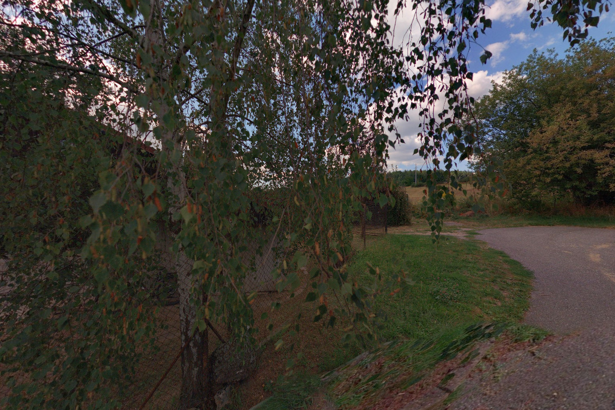 Konstantin Nedomlel foto 1