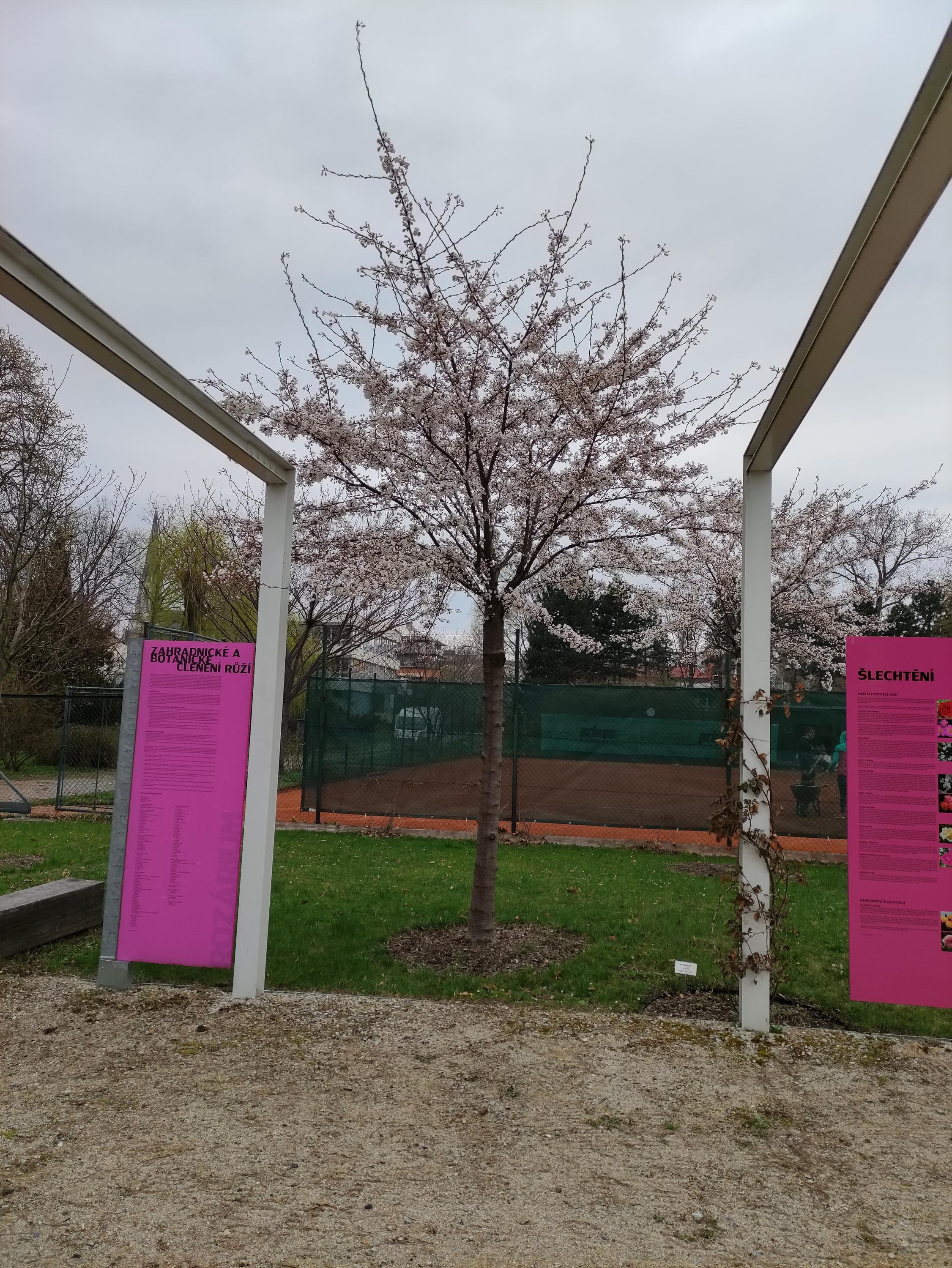 Botanická zahrada a Zahrada smyslů foto 6