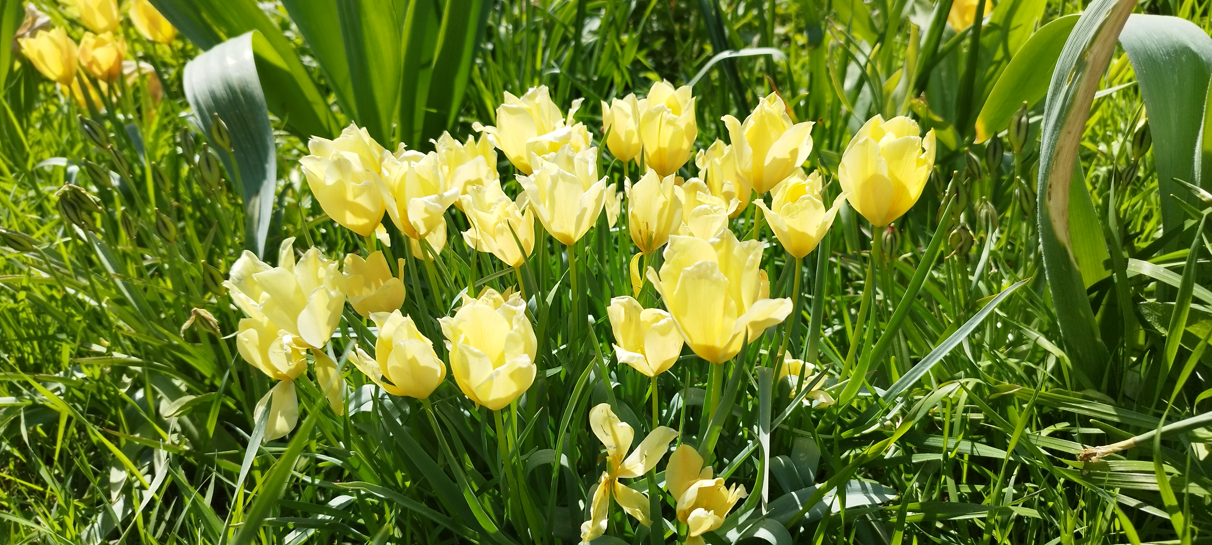 Výstaviště Flora Olomouc foto 5
