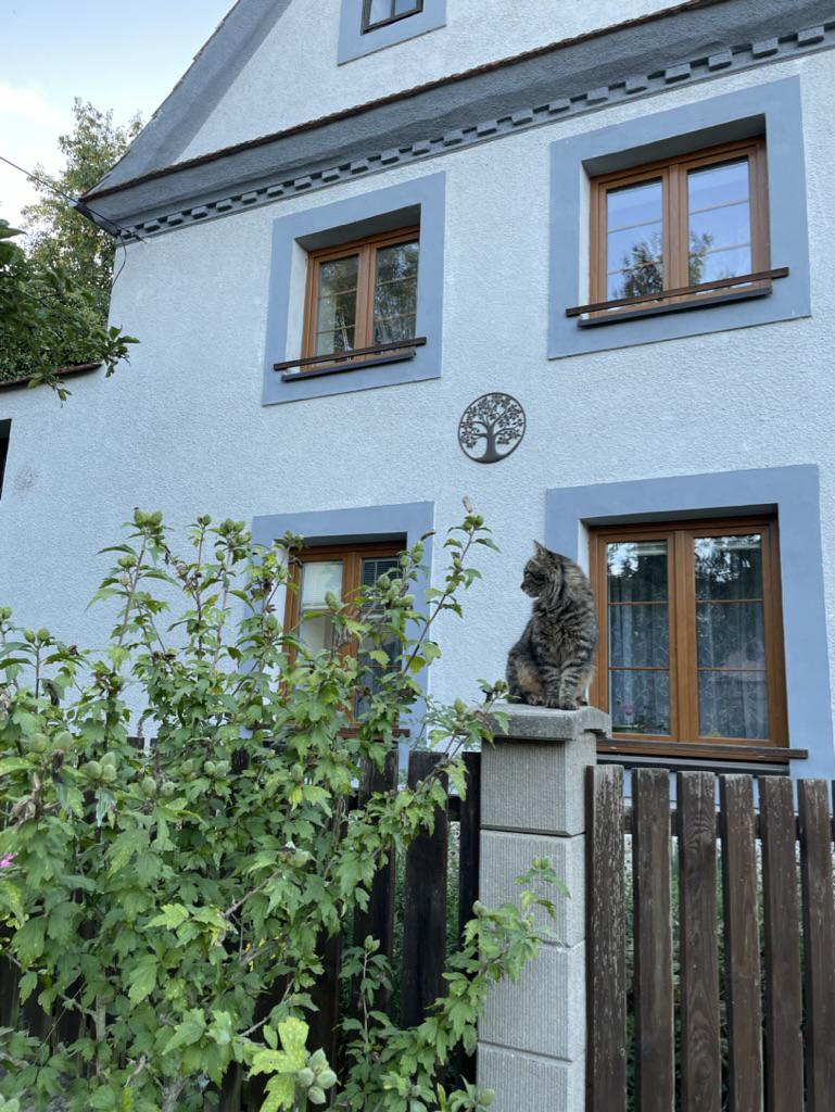 Profesionální kouč Mgr. Adéla Fritschová, DiS. foto 1