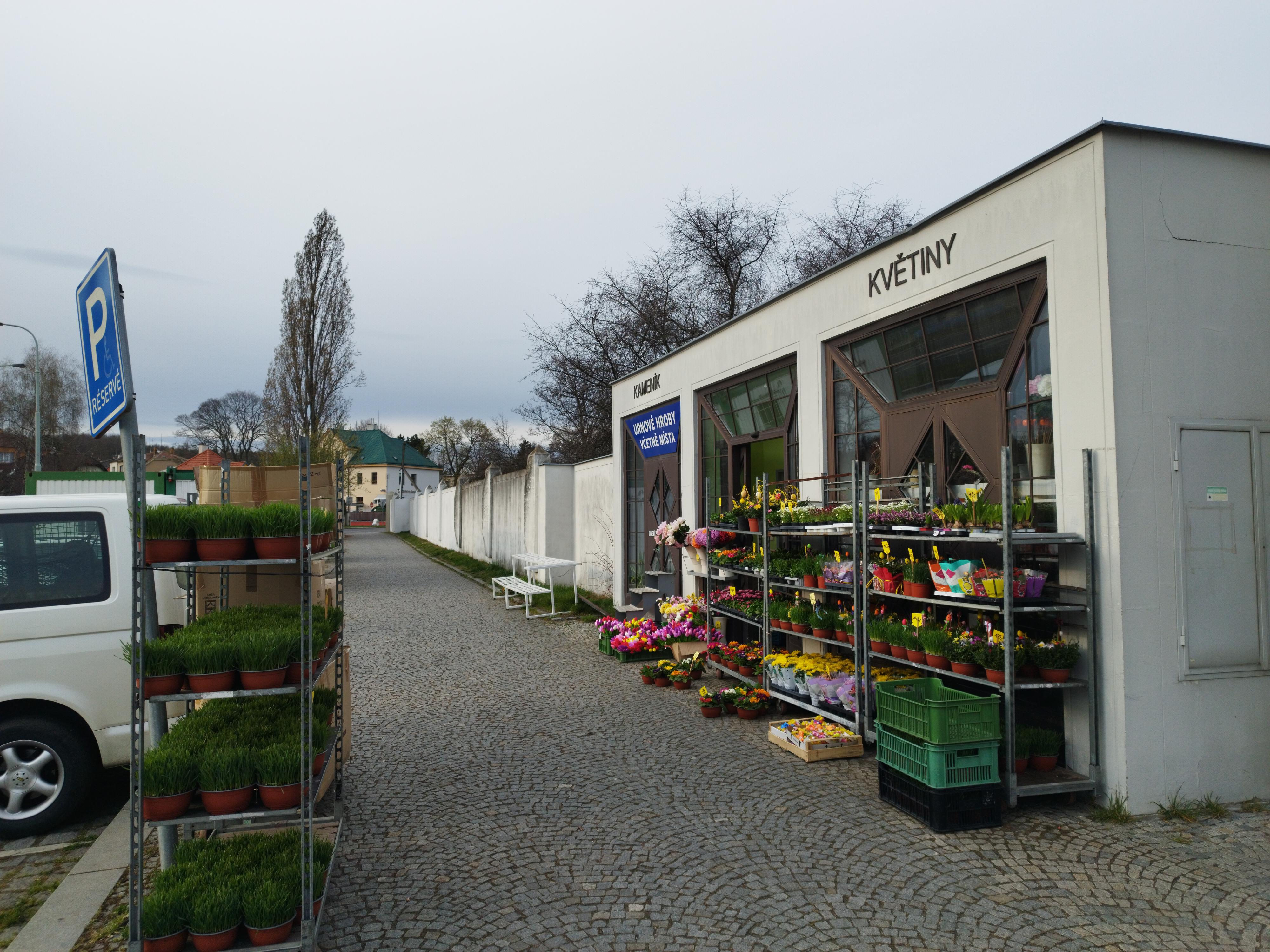 Květiny Lilian flow foto 3